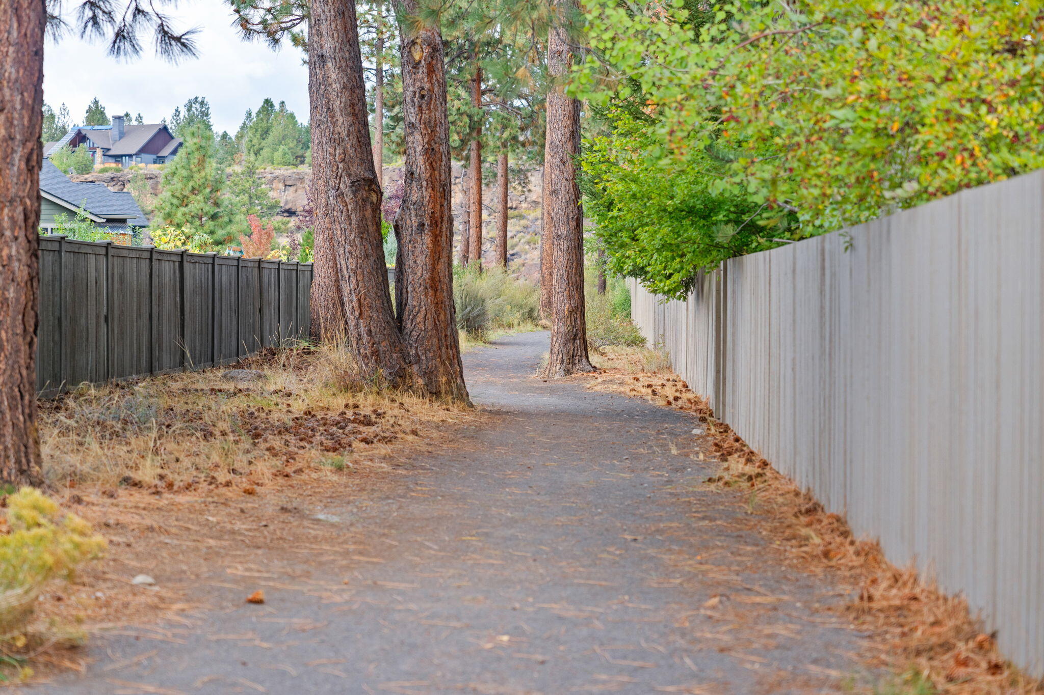 60882 SW Headwaters Loop