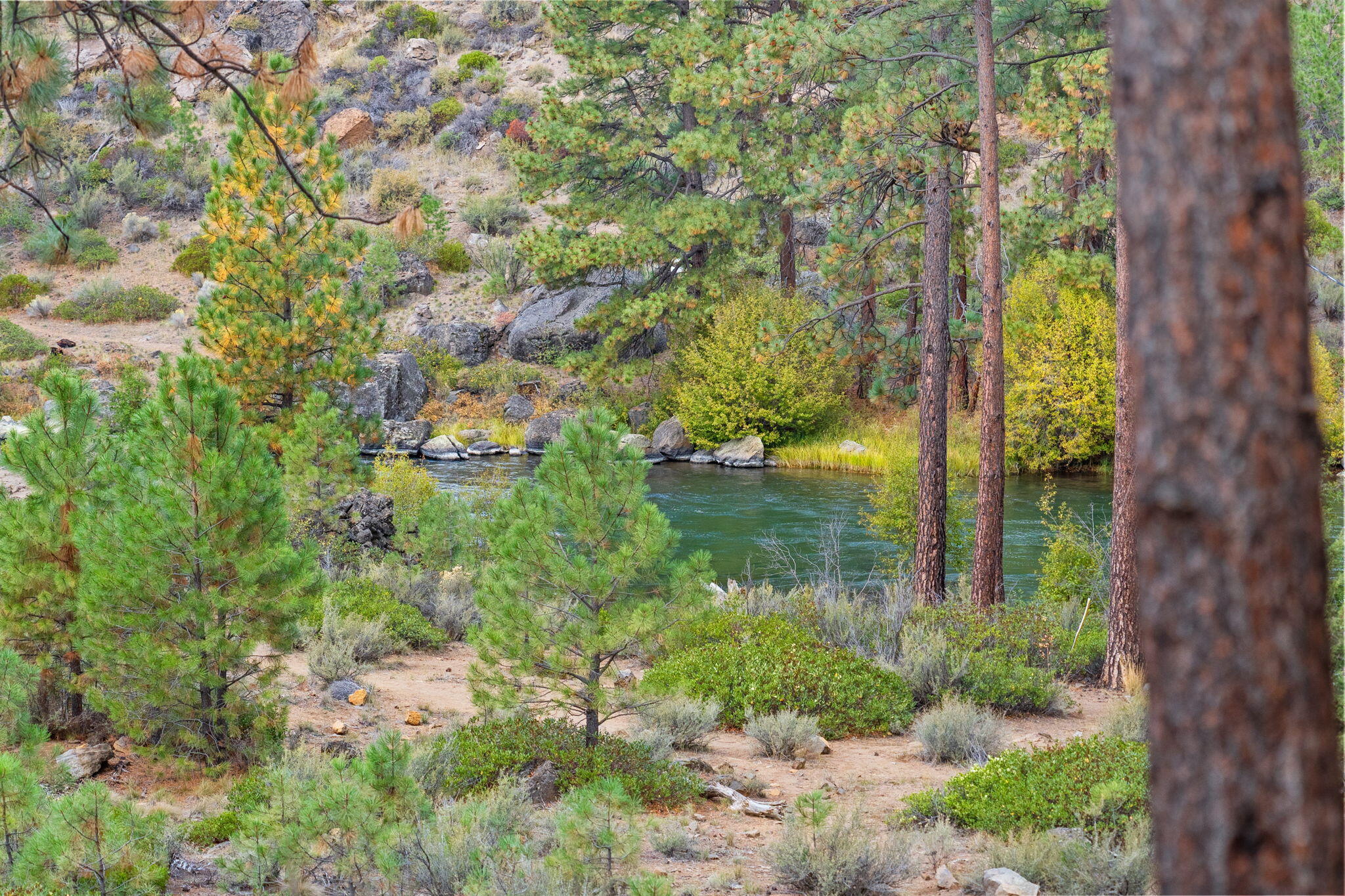 60882 SW Headwaters Loop