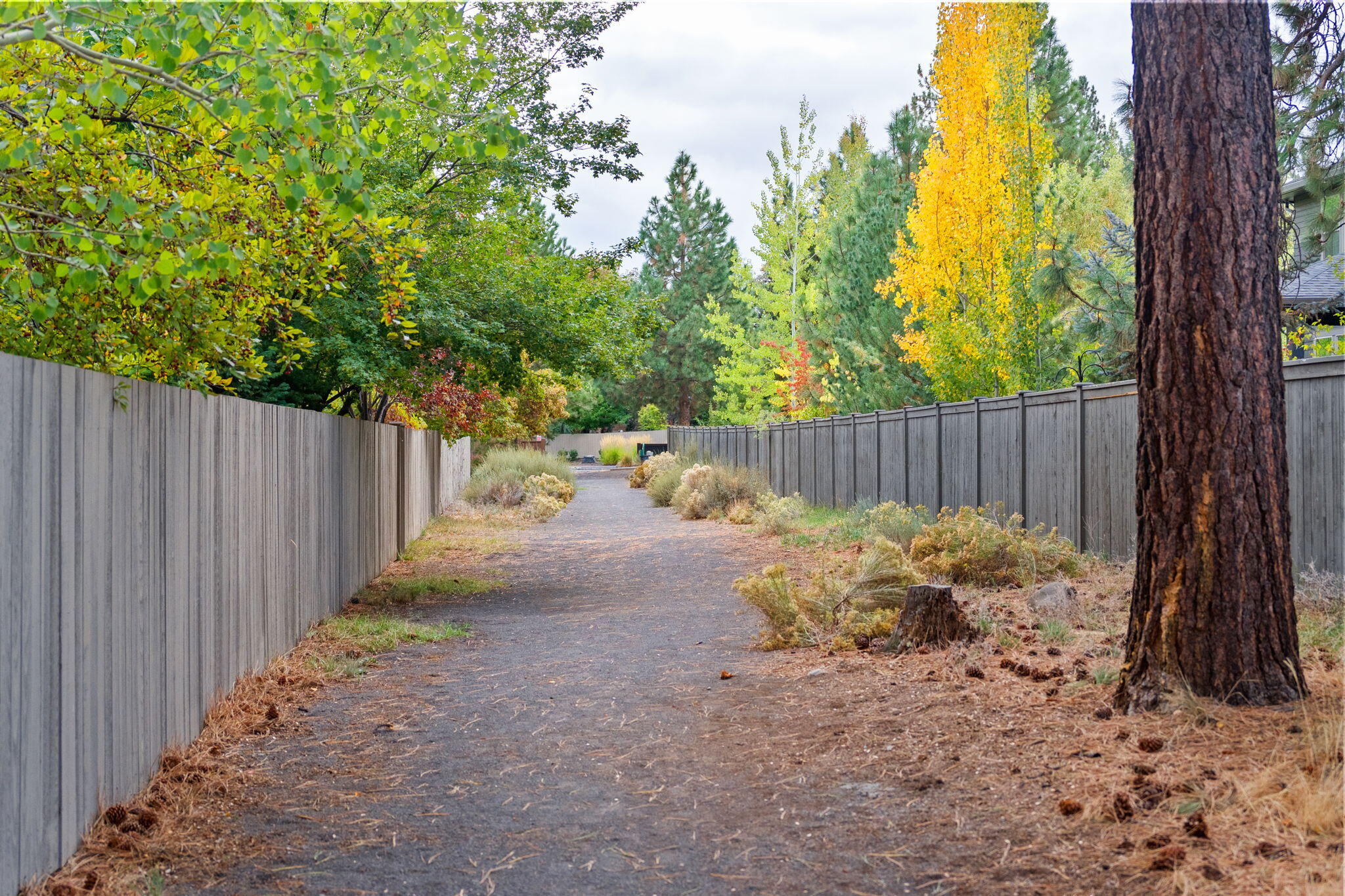 60882 SW Headwaters Loop