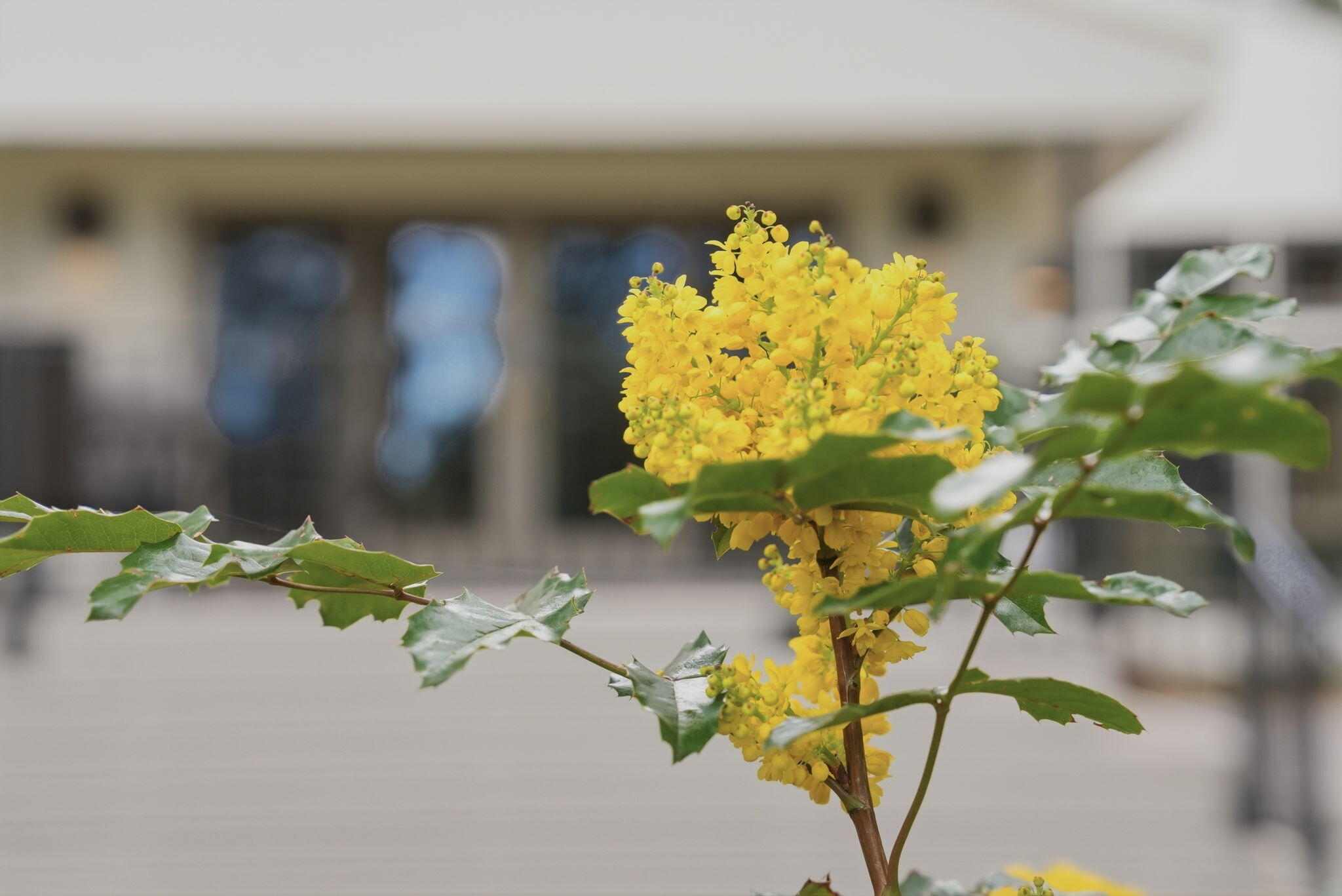 20344 Donkey Sled Road