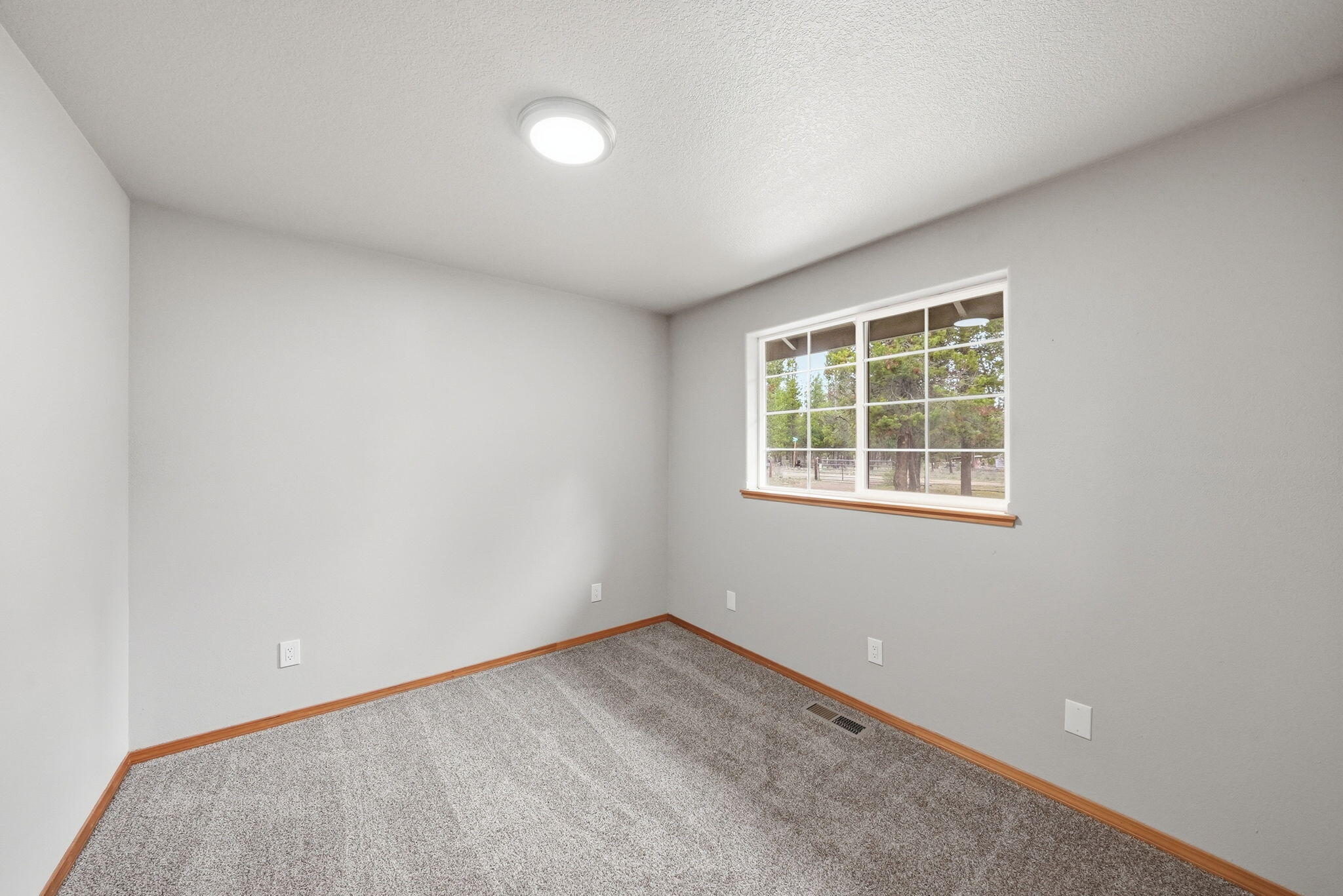 15905 Pine Lane