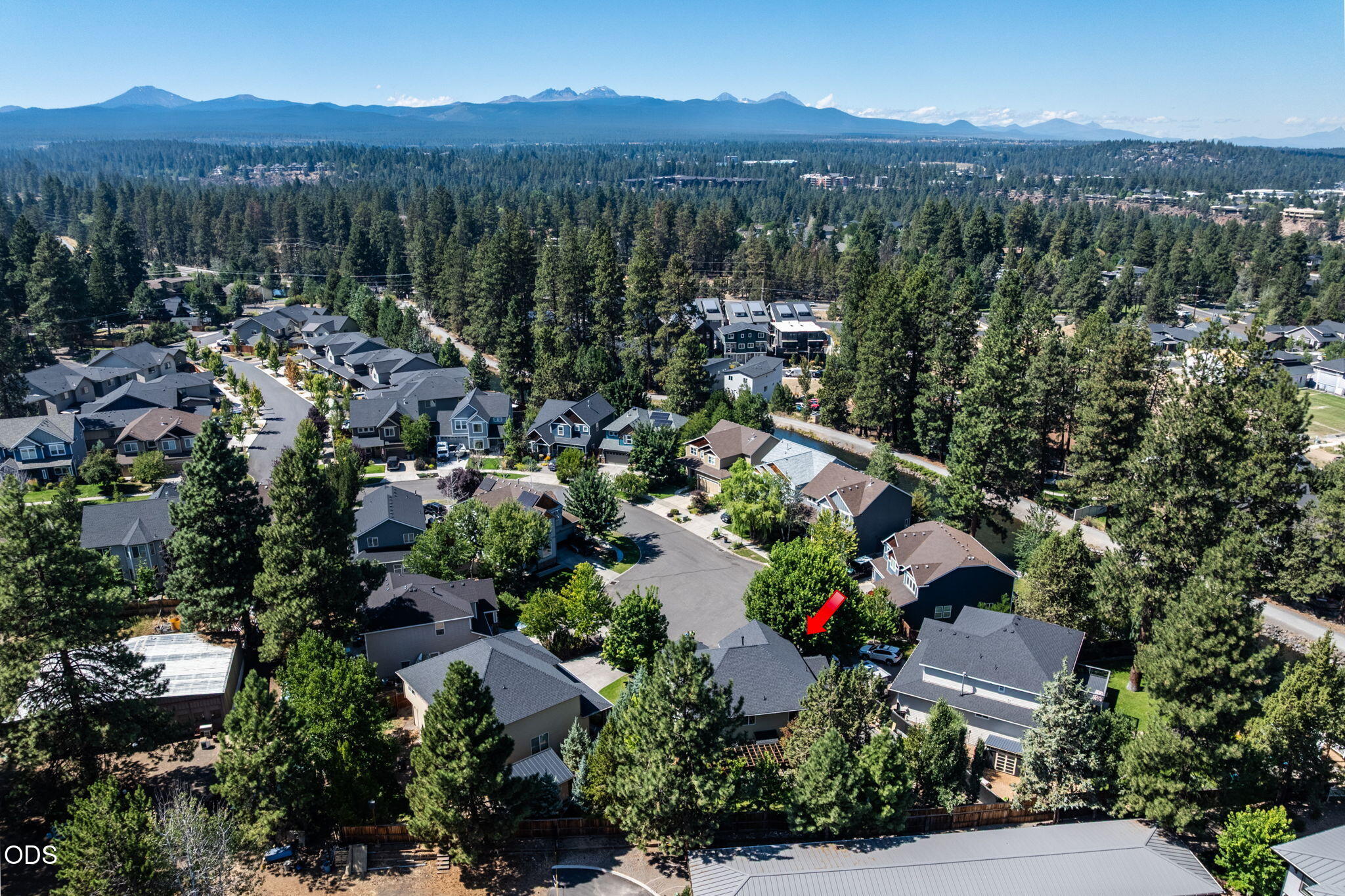 61558 Tall Tree Court