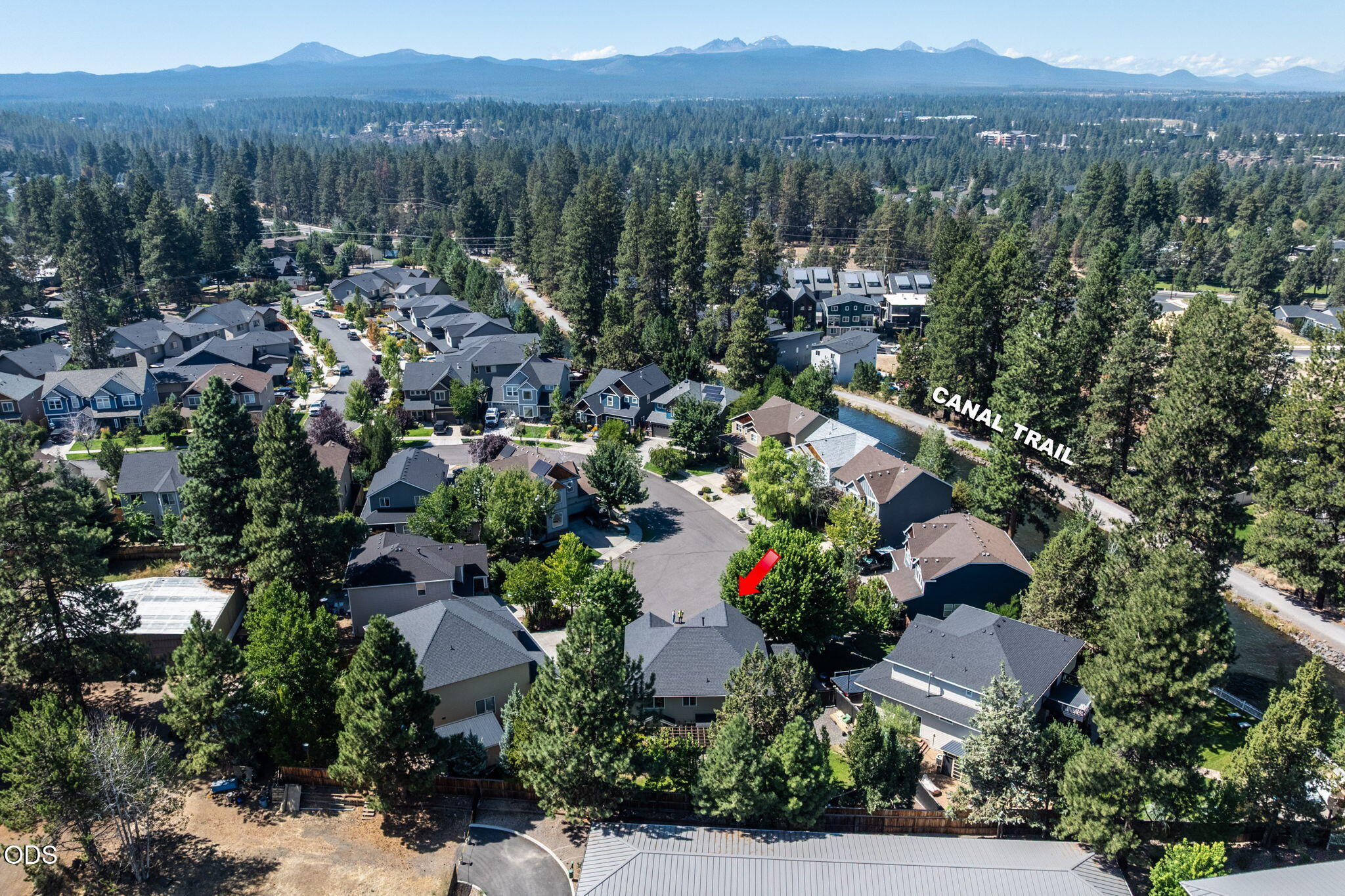 61558 Tall Tree Court