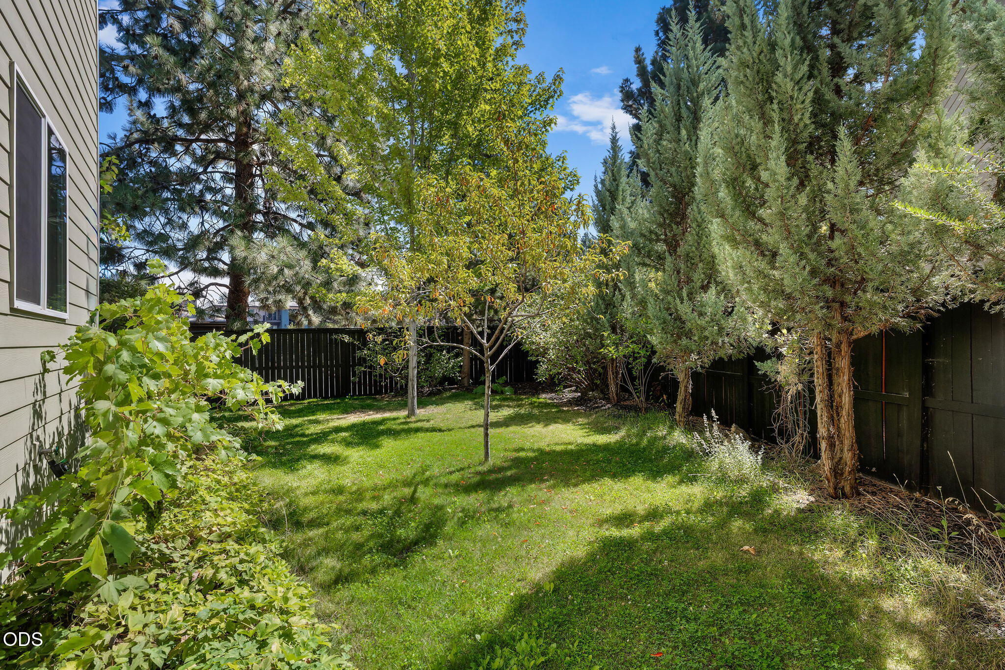 61558 Tall Tree Court