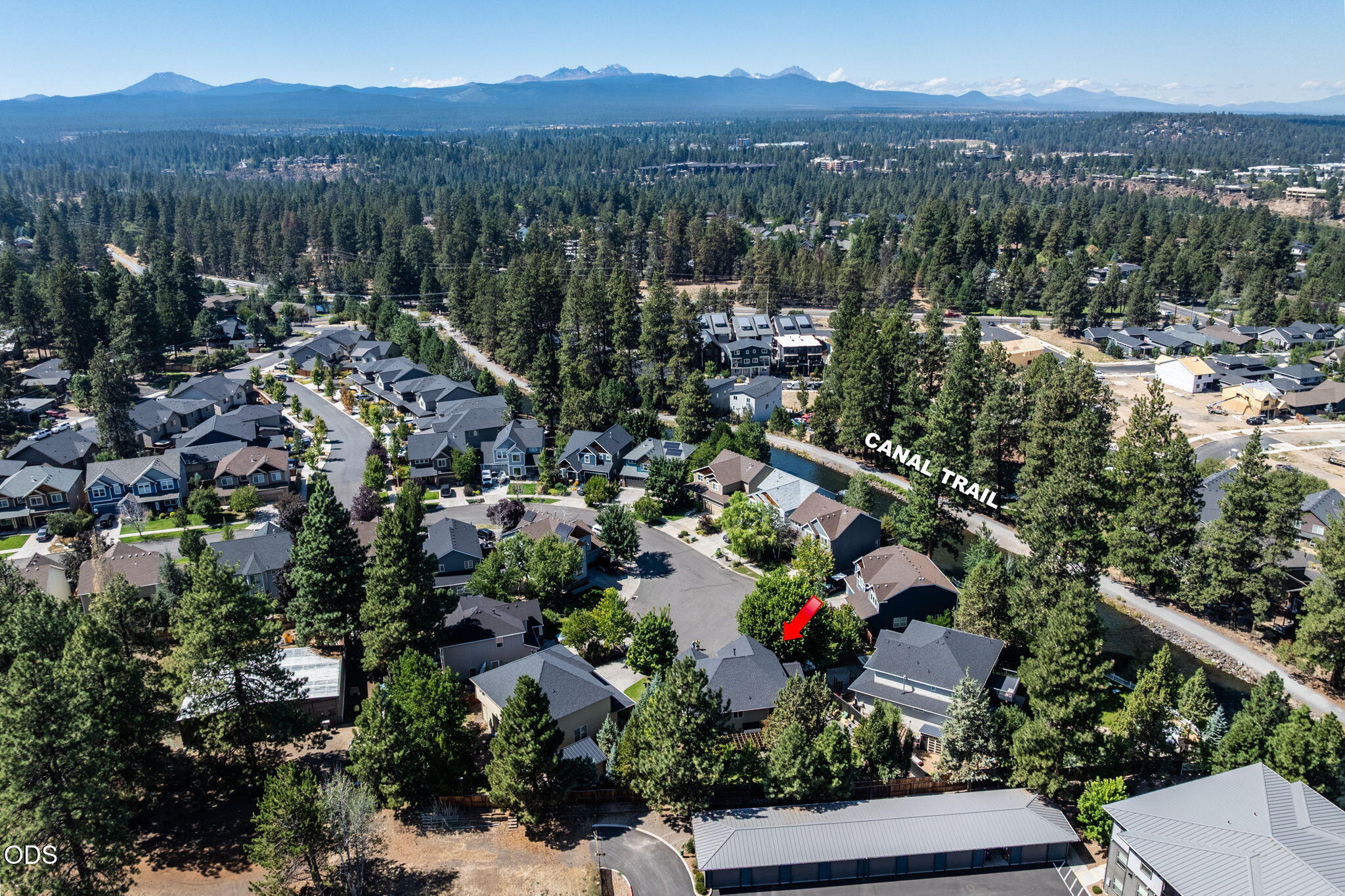 61558 Tall Tree Court