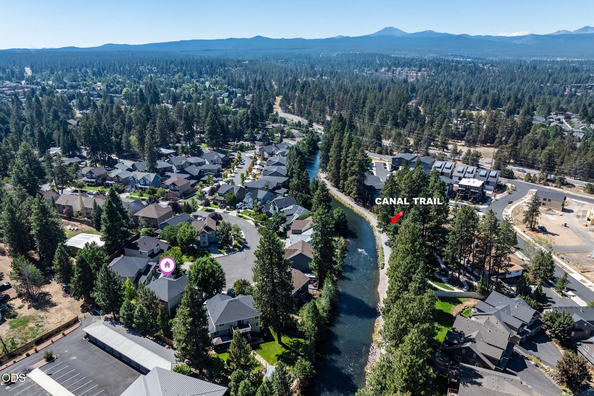 61558 Tall Tree Court