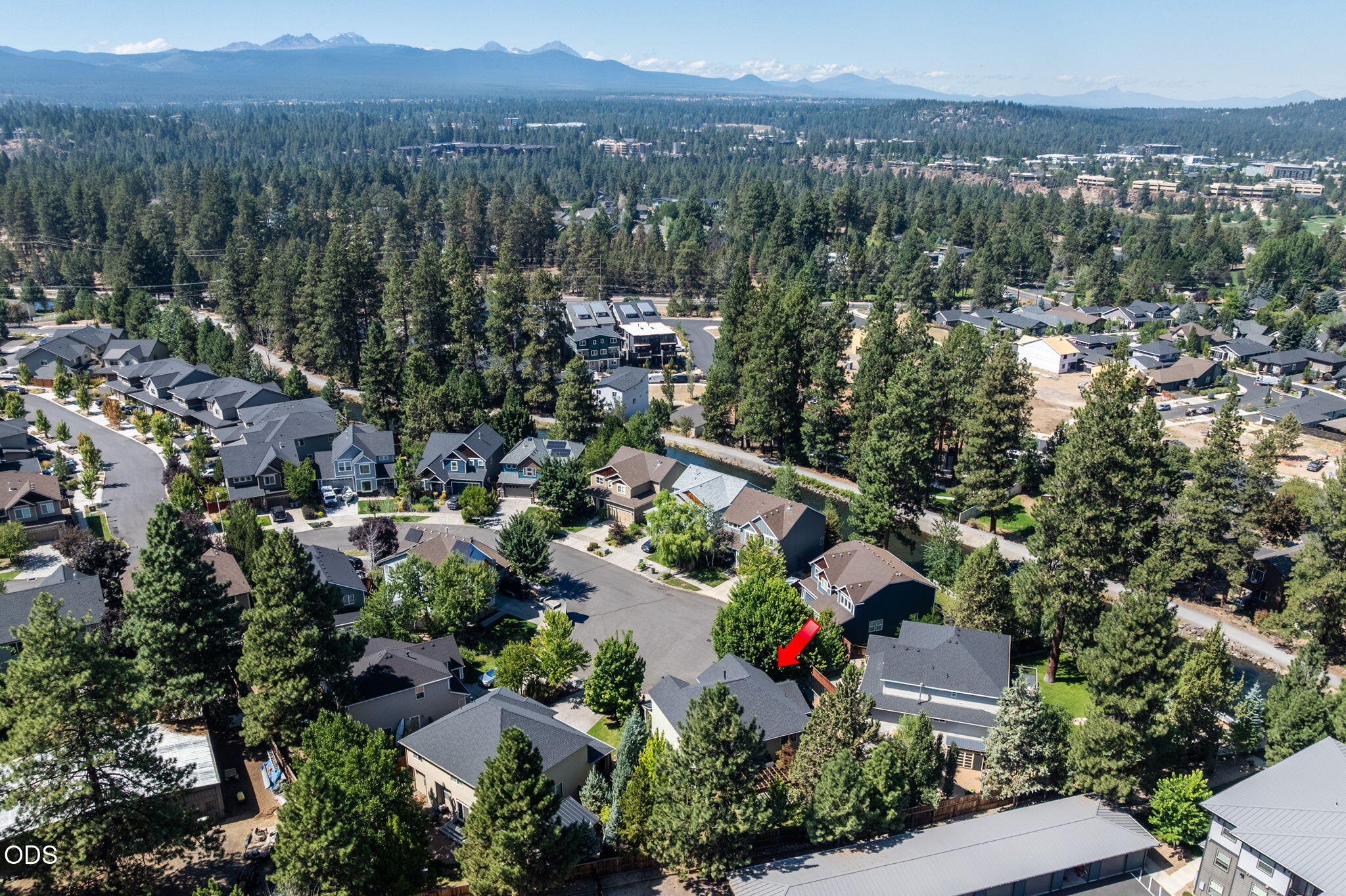 61558 Tall Tree Court