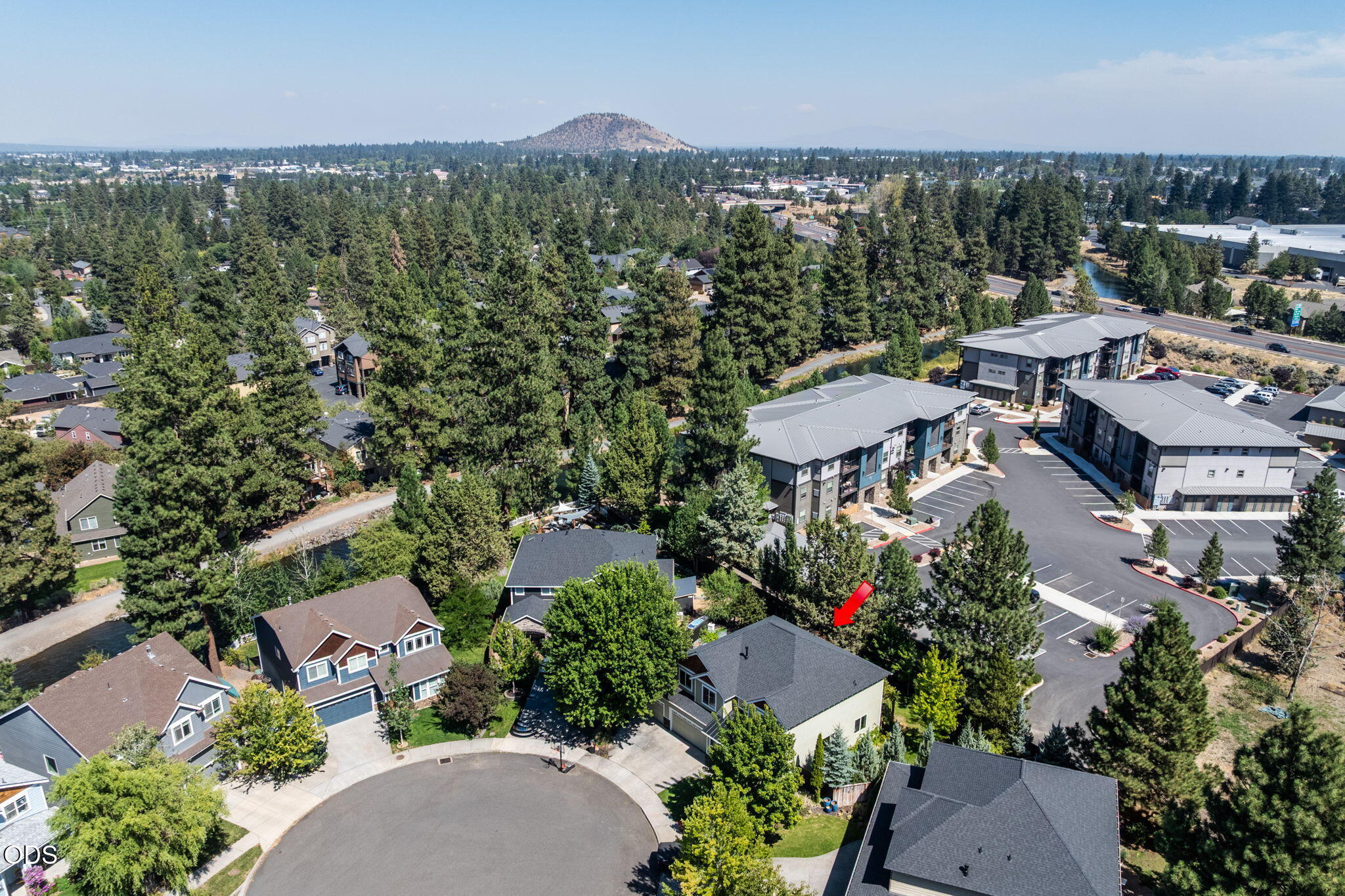61558 Tall Tree Court