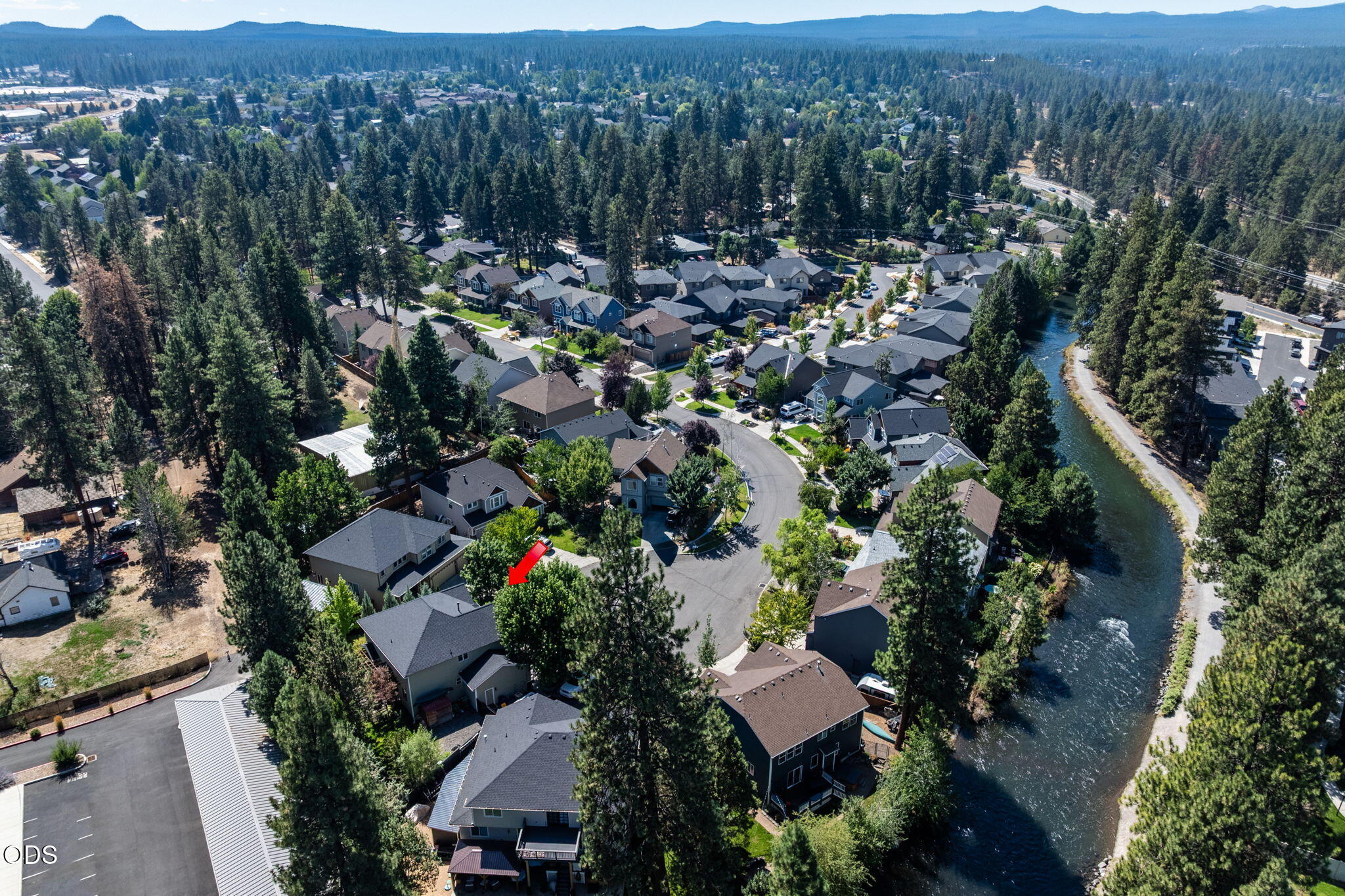 61558 Tall Tree Court
