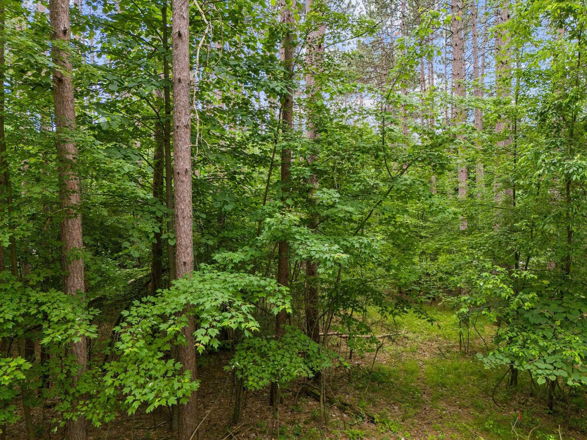 COVERED BRIDGE Road Unit: 38