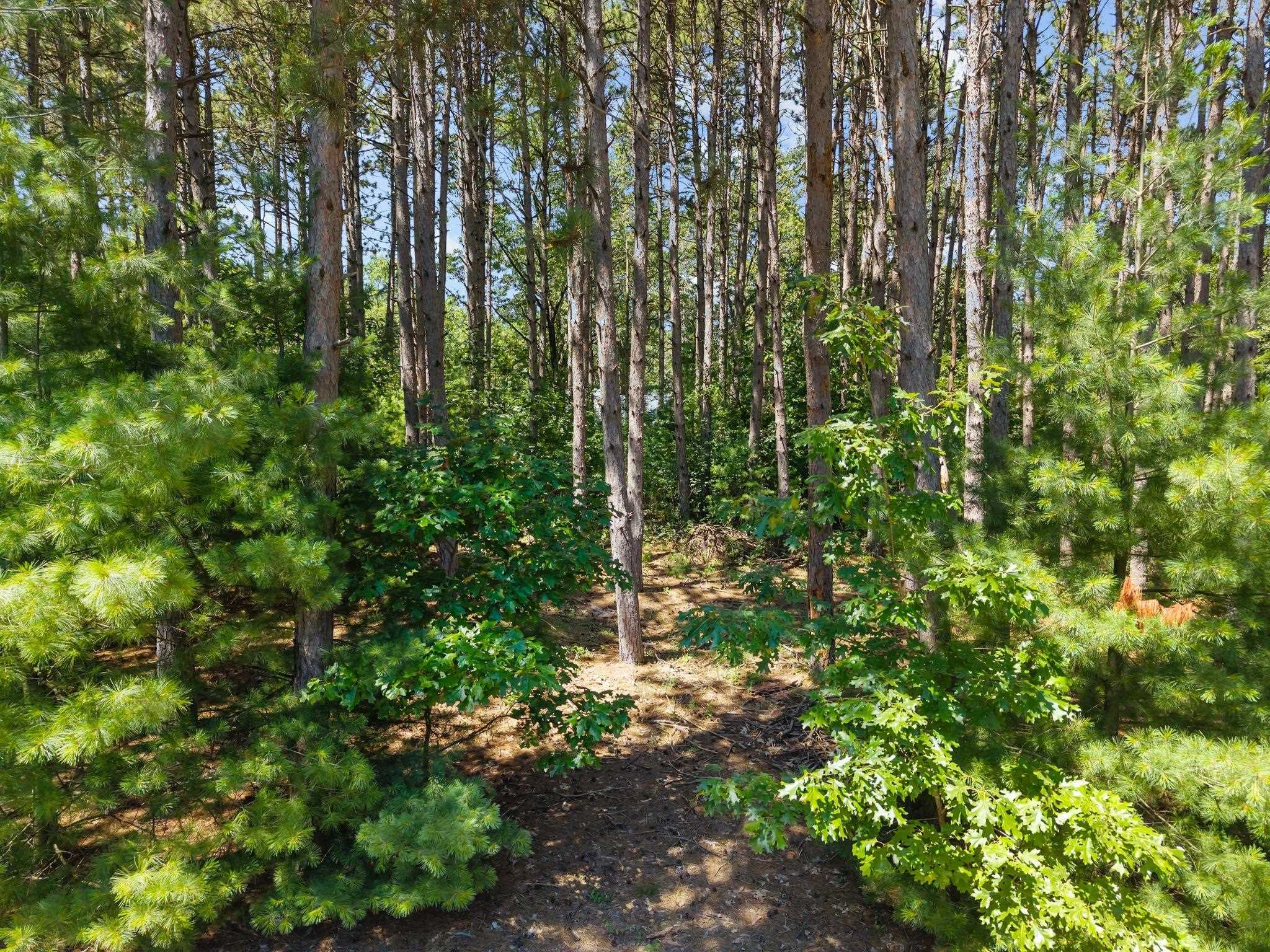 E2614 MARION Lane