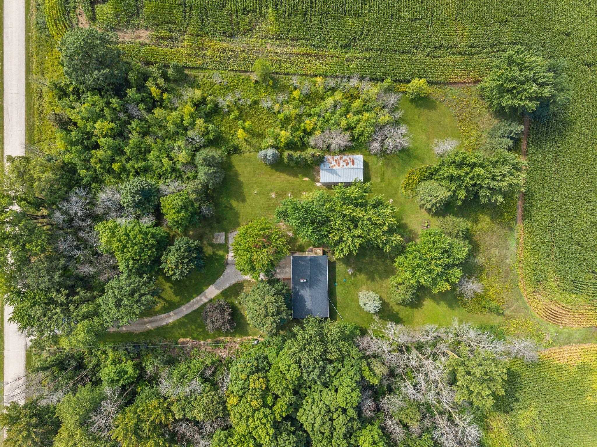 W596 BIRCH Drive