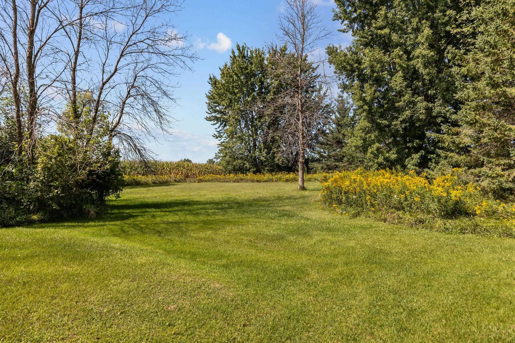 W596 BIRCH Drive