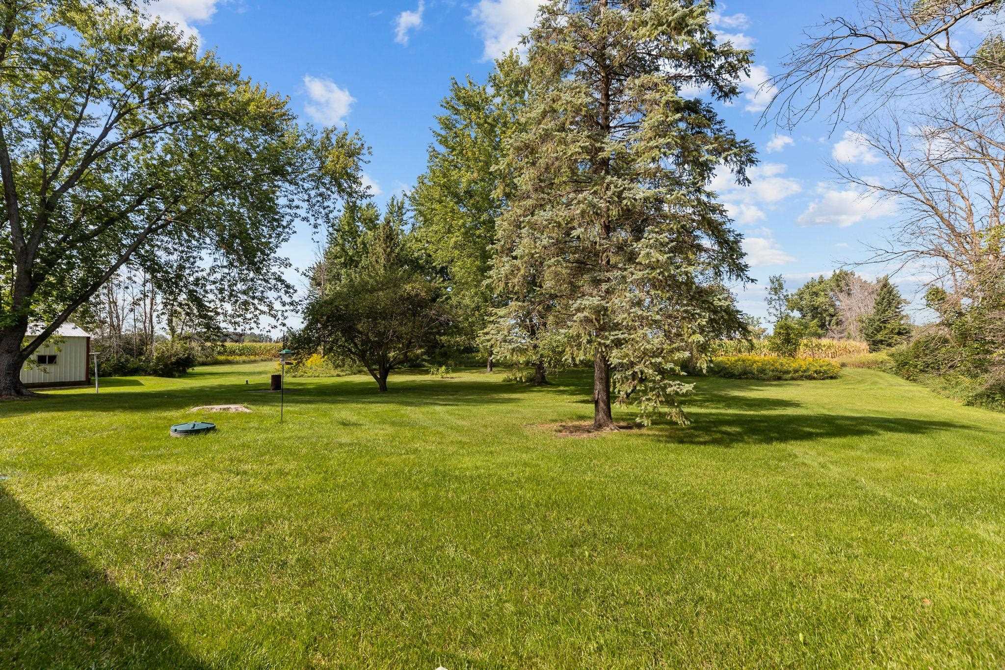 W596 BIRCH Drive