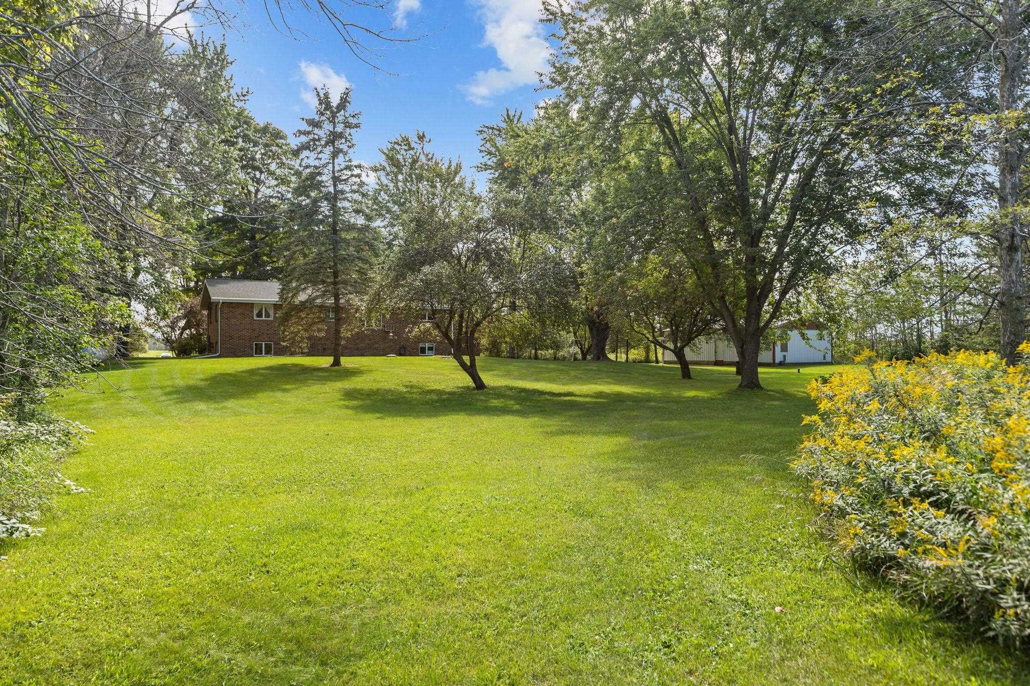 W596 BIRCH Drive