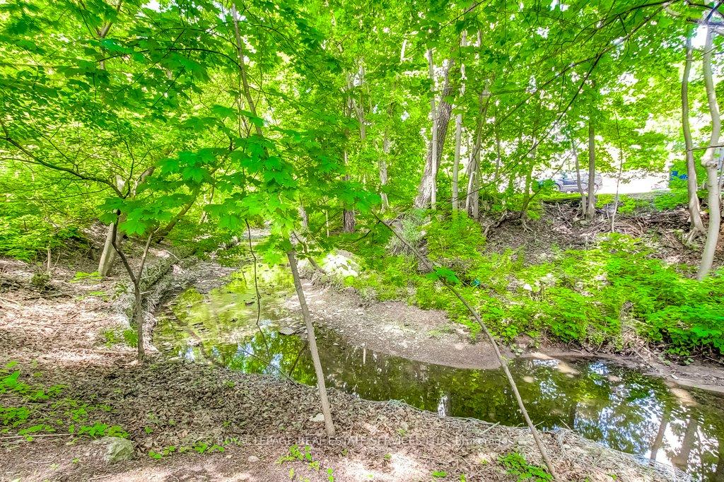 2121 Lakeshore Road
