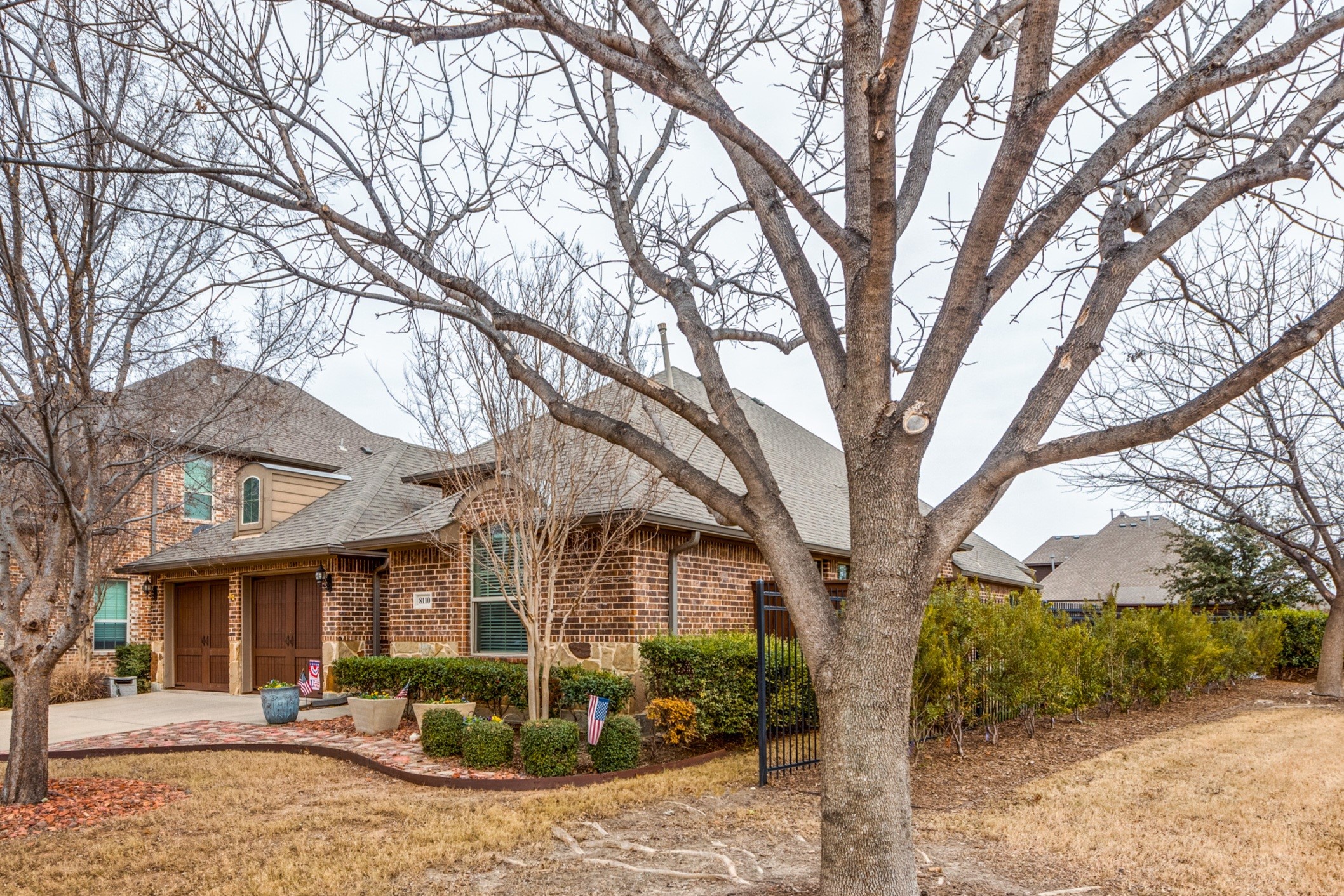 8110 Haltered Horse Lane