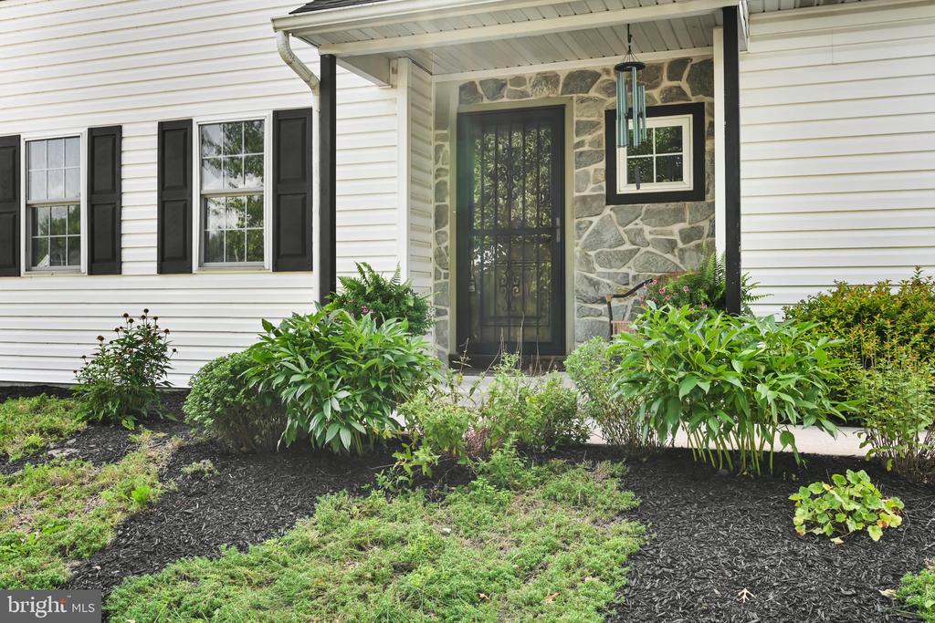 217 SPRUCE STREET