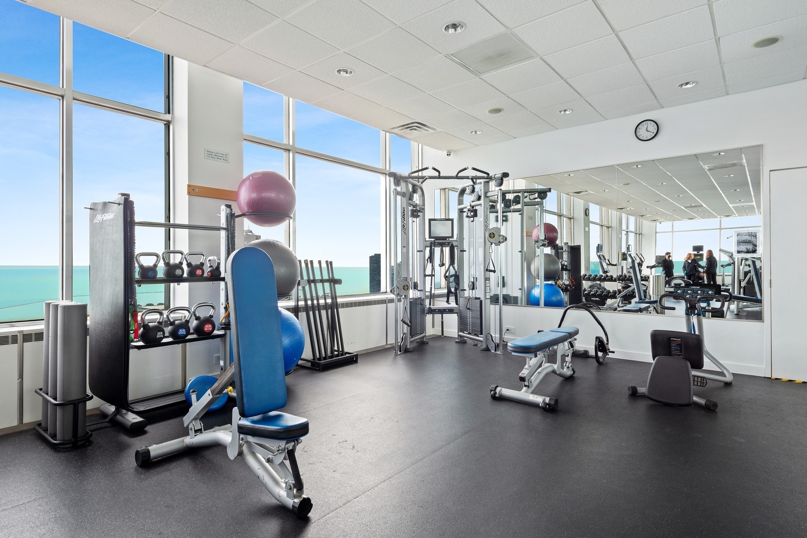 1000 N Lake Shore Plaza Unit: 12A