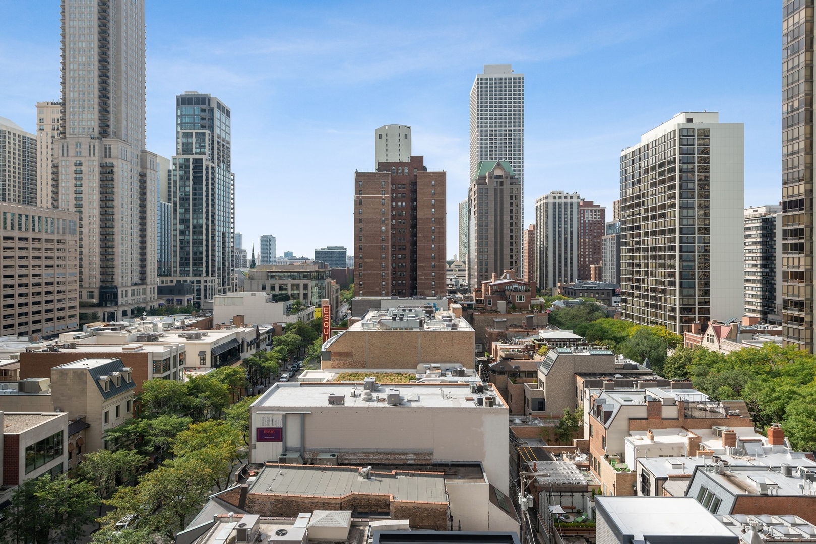 1000 N Lake Shore Plaza Unit: 12A