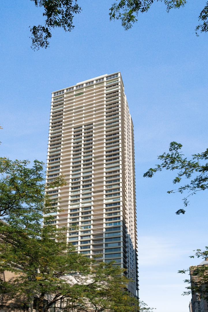 1000 N Lake Shore Plaza Unit: 12A