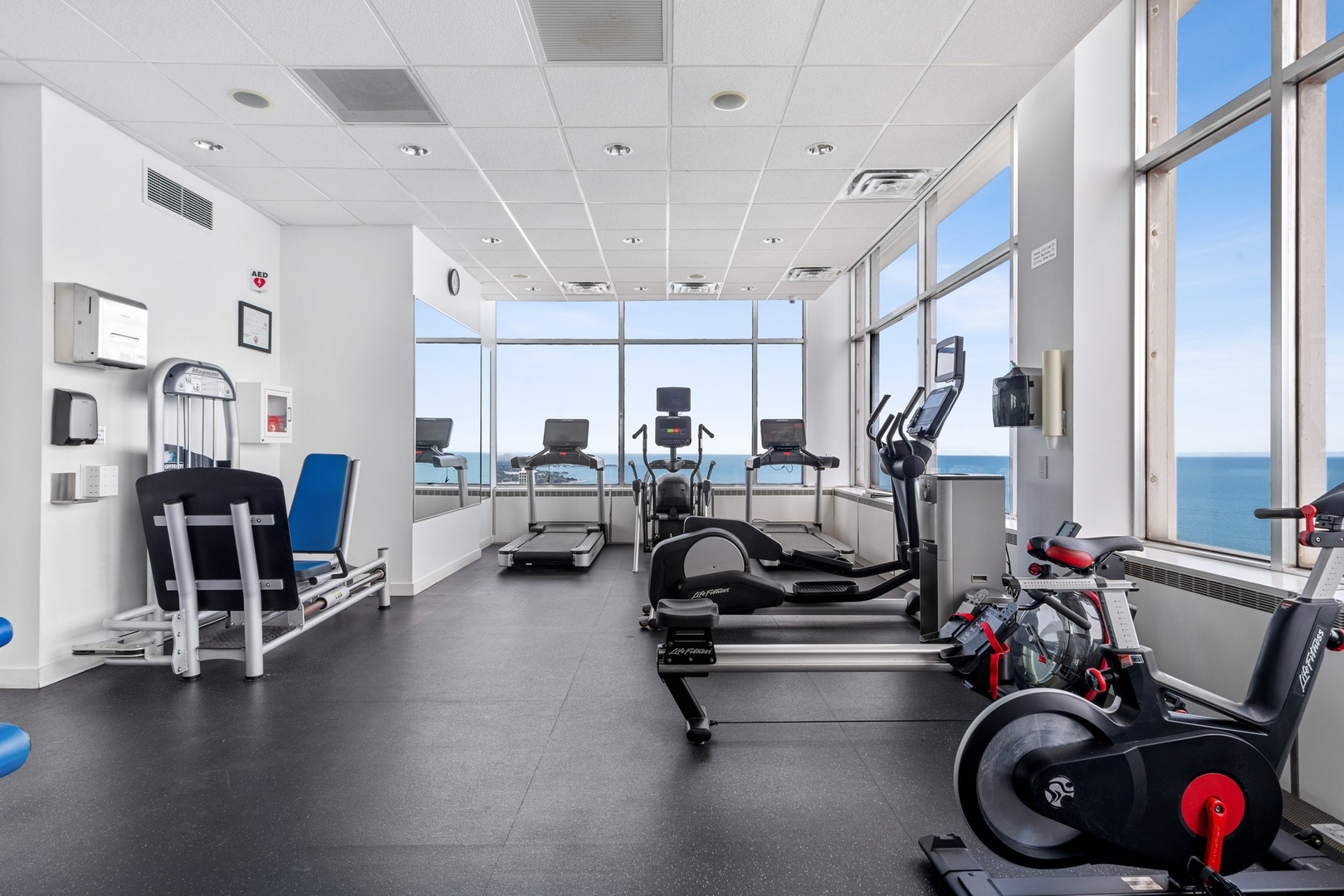 1000 N Lake Shore Plaza Unit: 12A