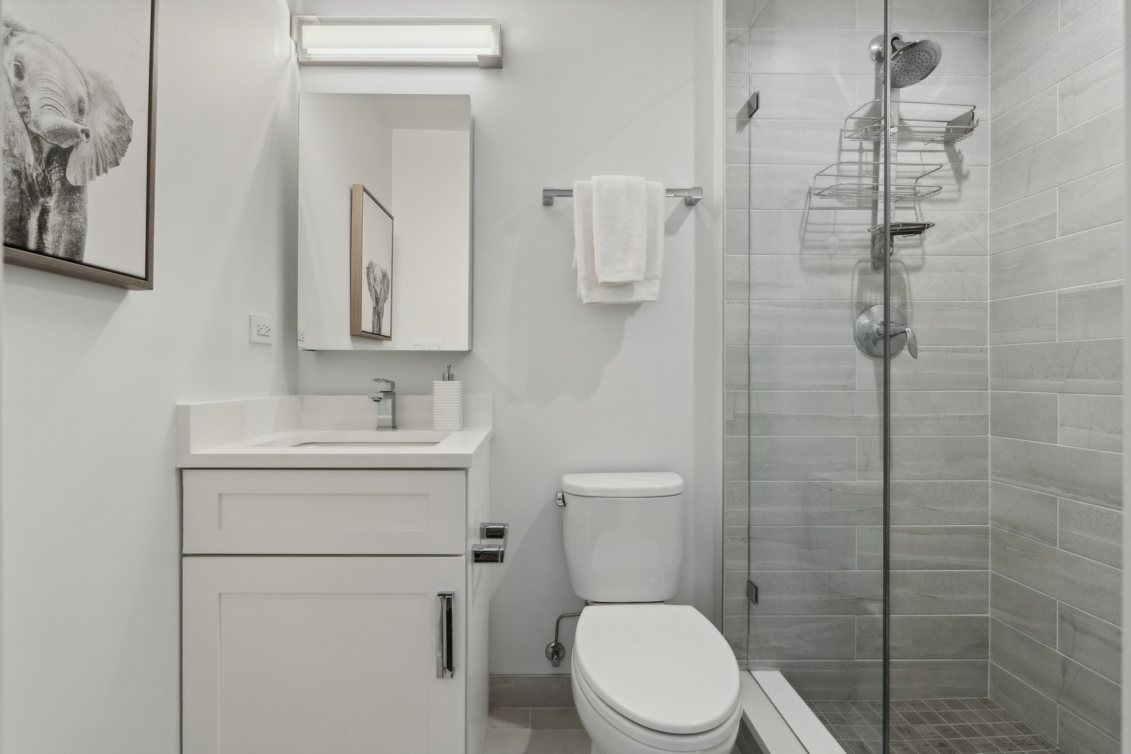 1000 N Lake Shore Plaza Unit: 12A