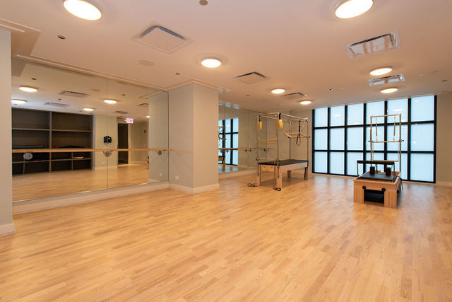 9 W Walton Street Unit: 2802