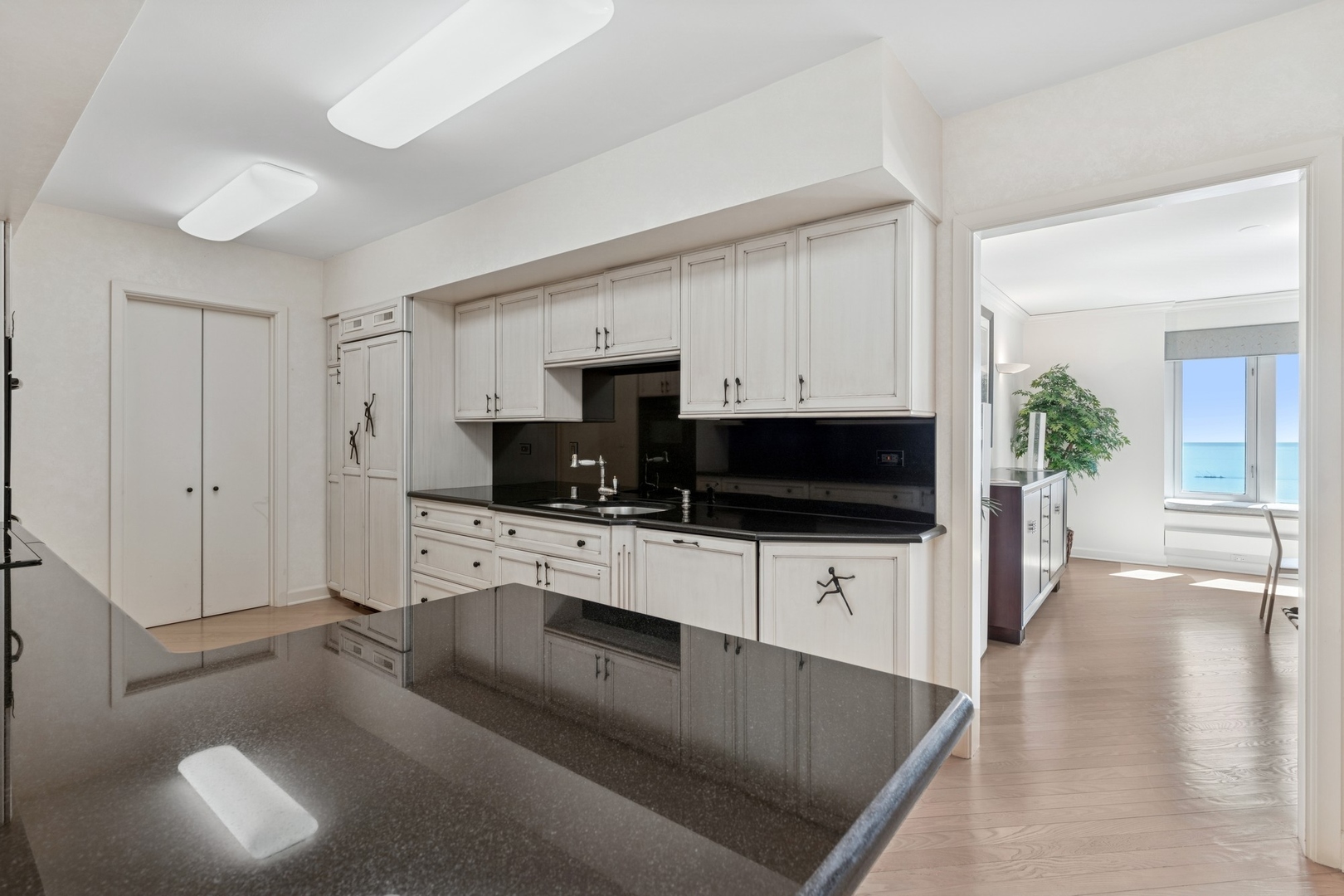 132 E Delaware Place Unit: 5504