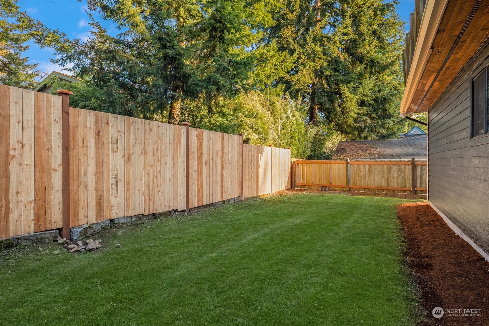 Fenced backyard with a broad lawn, mature evergreens, and the house along one side.