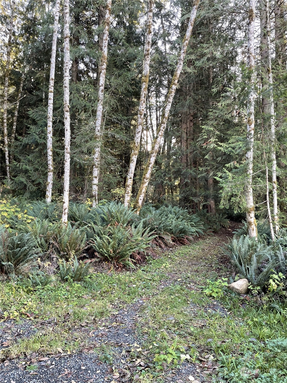 0 5XX Dodger Lane