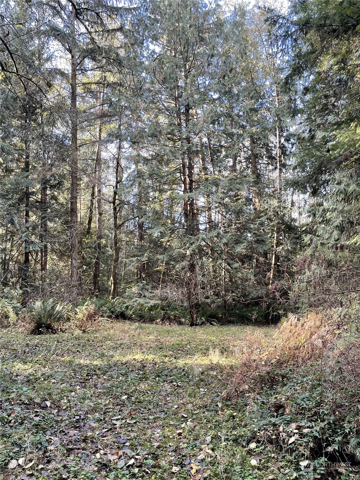 0 5XX Dodger Lane
