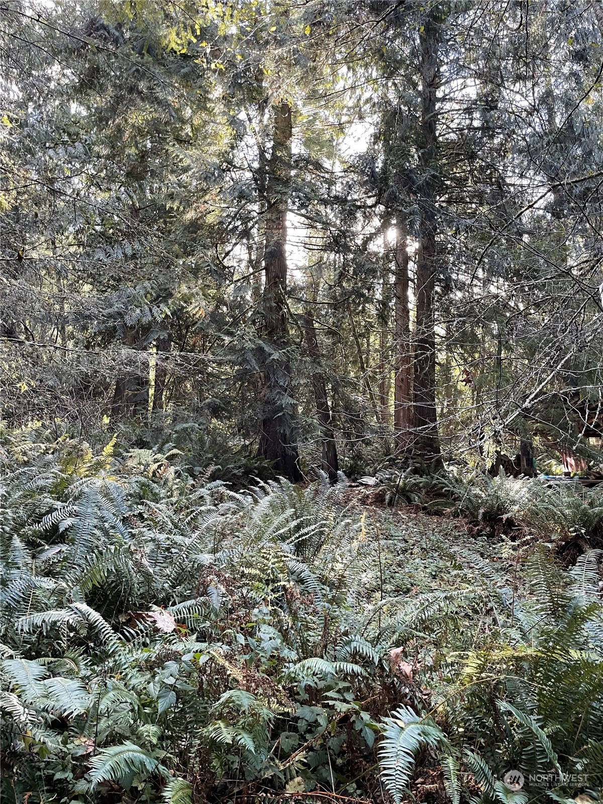 0 5XX Dodger Lane