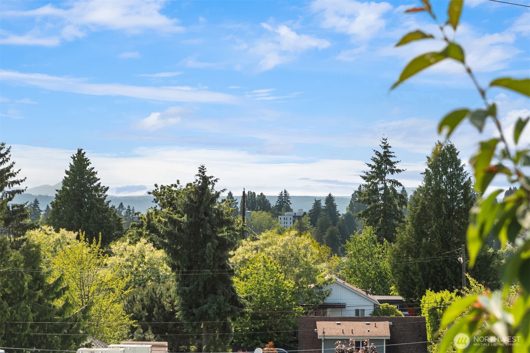 Leafy neighborhood view with evergreen trees, rooftops, distant hills and a broad blue sky.