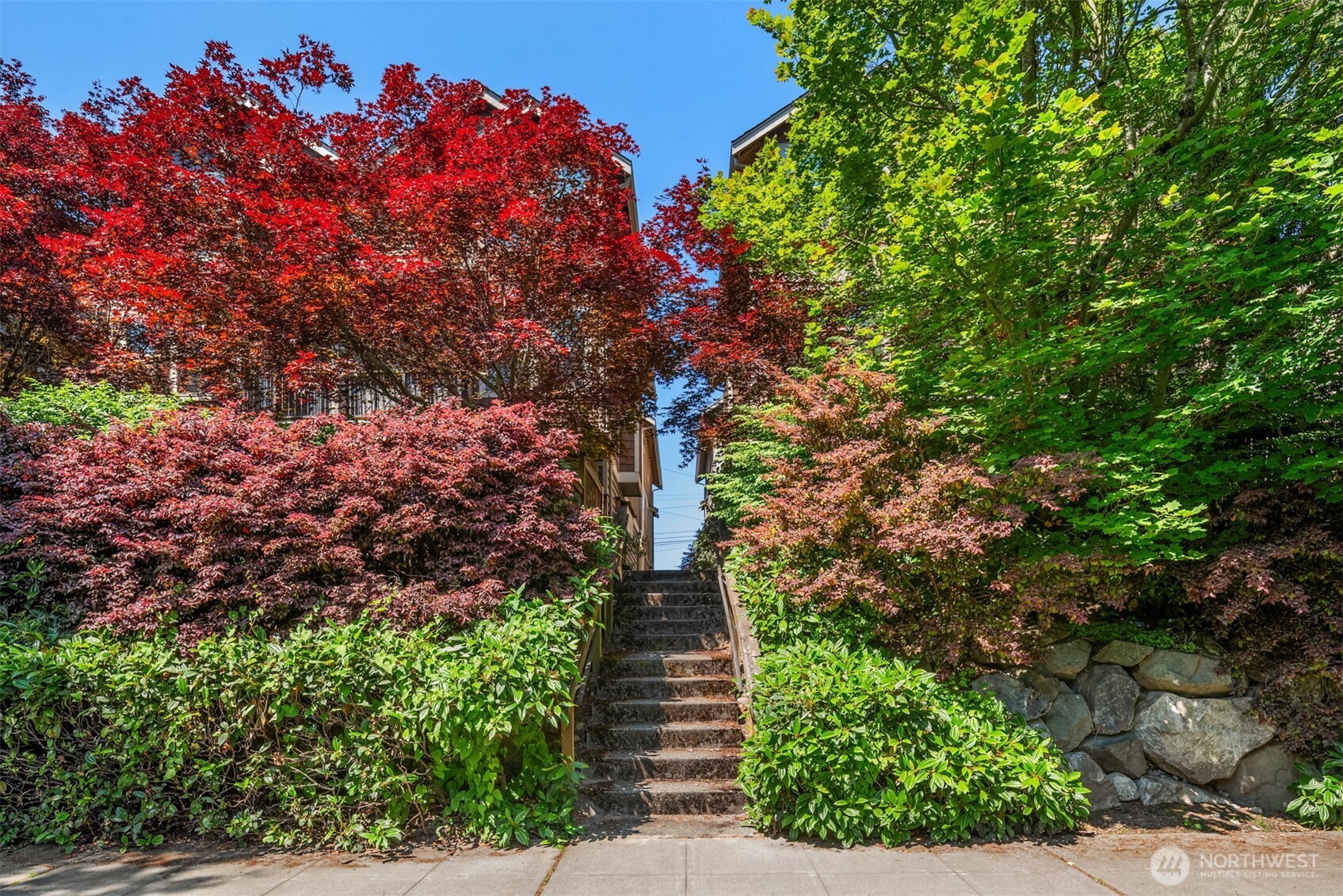 Home entrance steps framed by red and green foliage and a stone retaining wall.