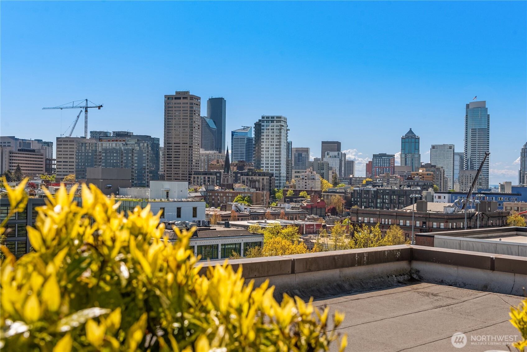 1125 E Olive Street Unit: 501