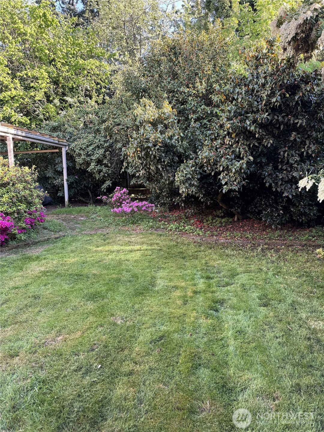 Grassy backyard with dense greenery, pink azaleas, and a small covered structure.