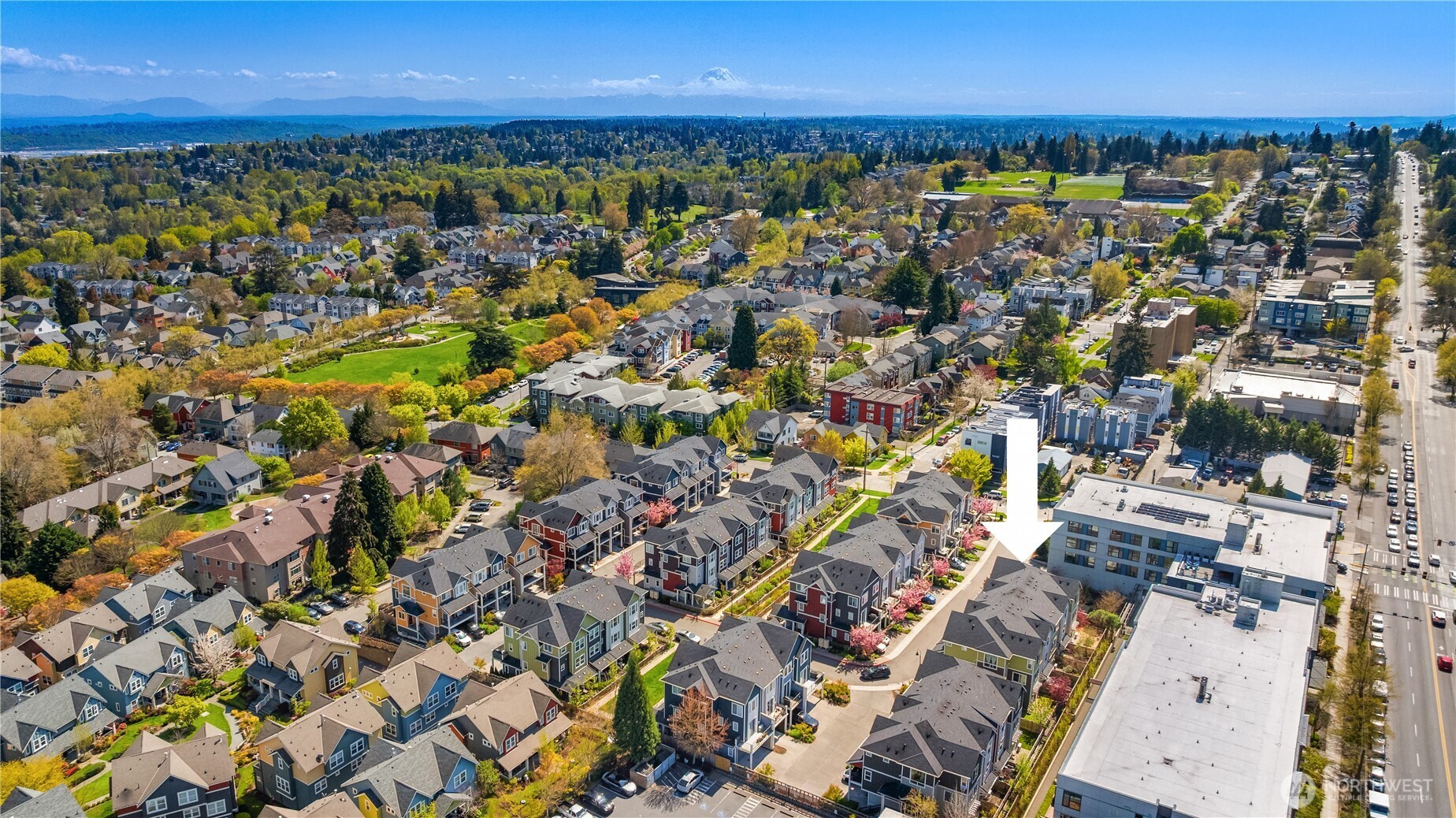 Aerial view of the property among leafy Seattle neighborhoods, with Mount Rainier on the horizon.