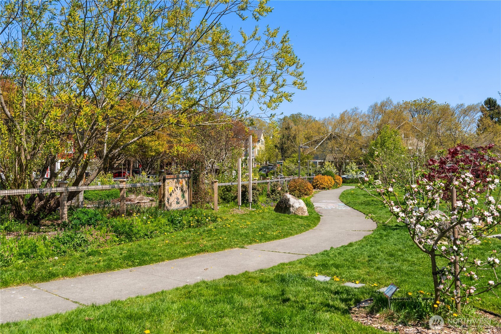 Winding walkway through a landscaped garden with flowering trees and fenced planting beds.