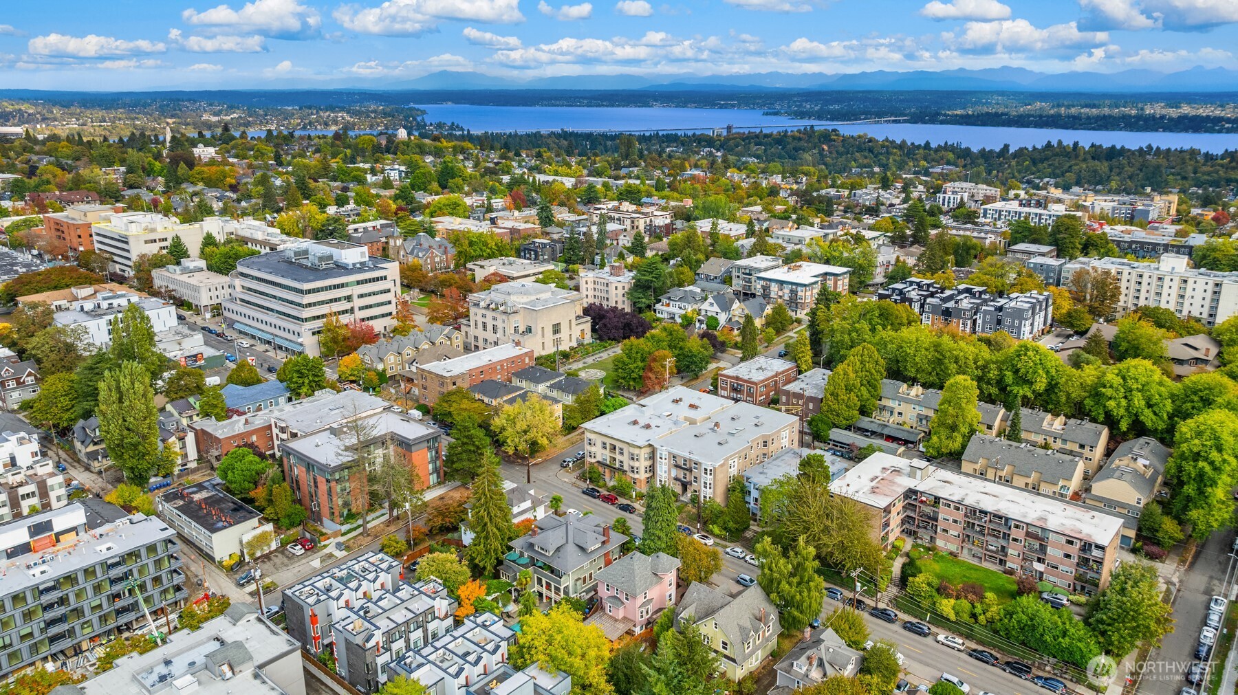 Aerial view of a leafy Seattle neighborhood, with water and mountains in the distance.