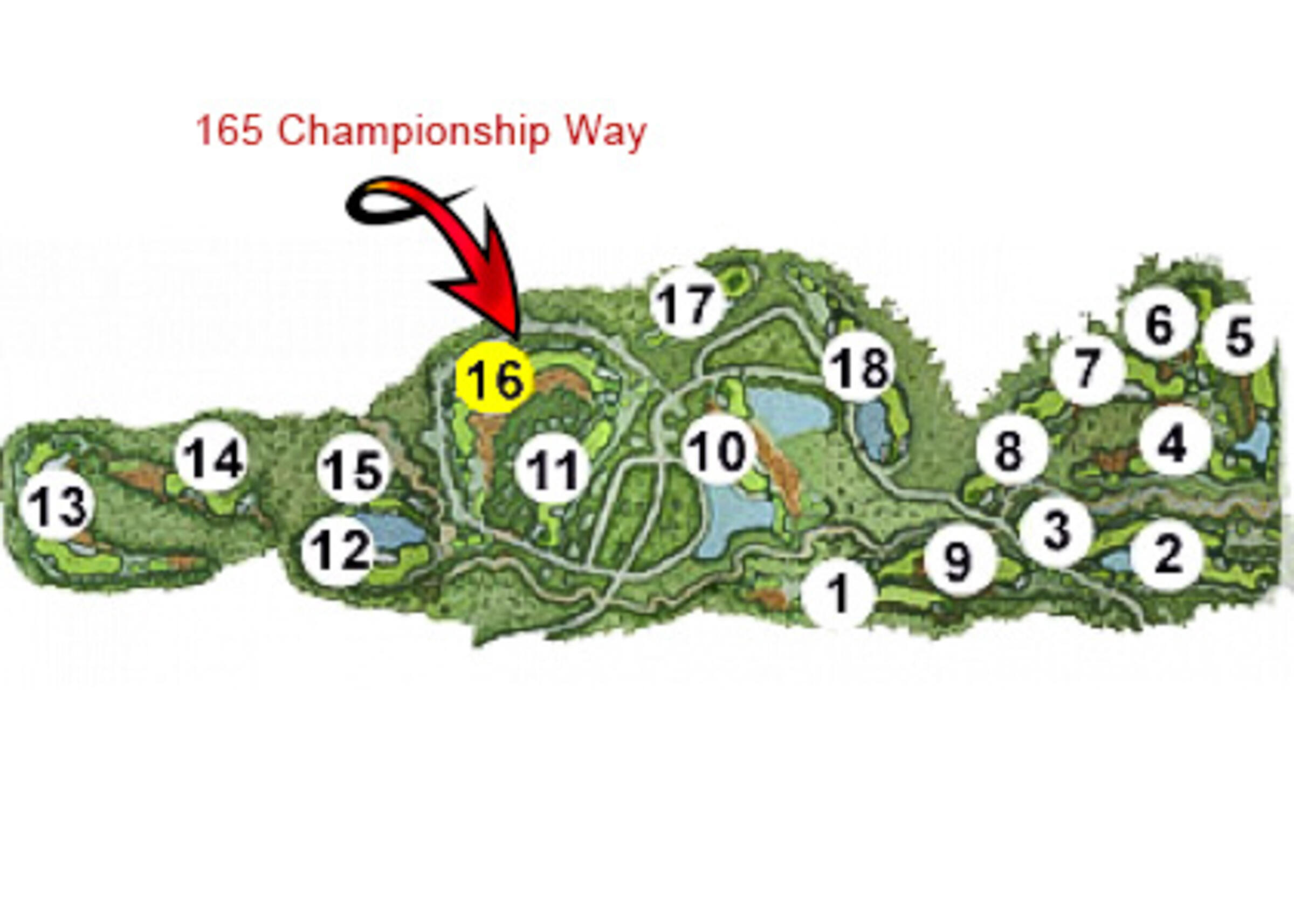 165 Championship Way Way, 34
