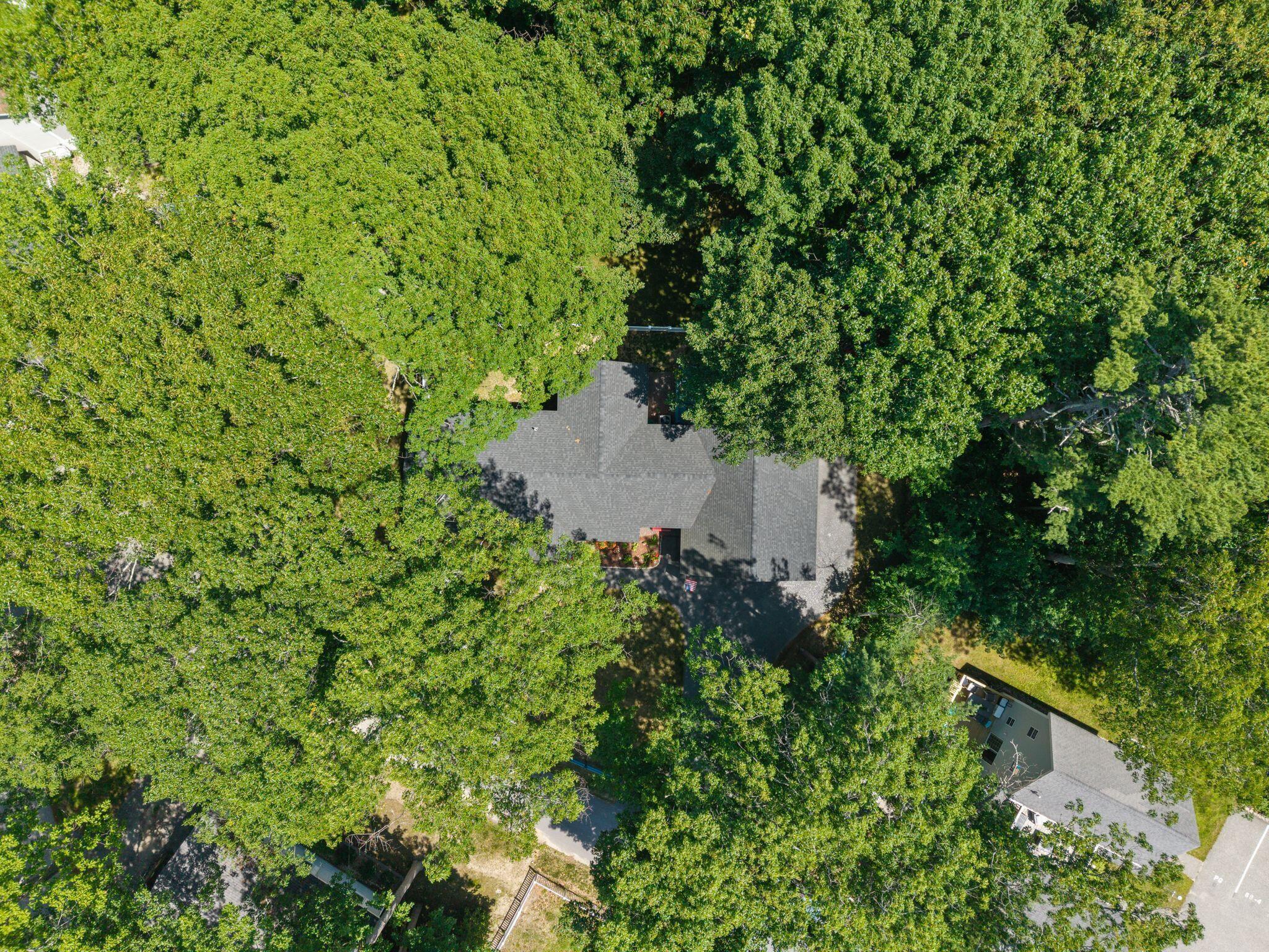 6 Bower Lane