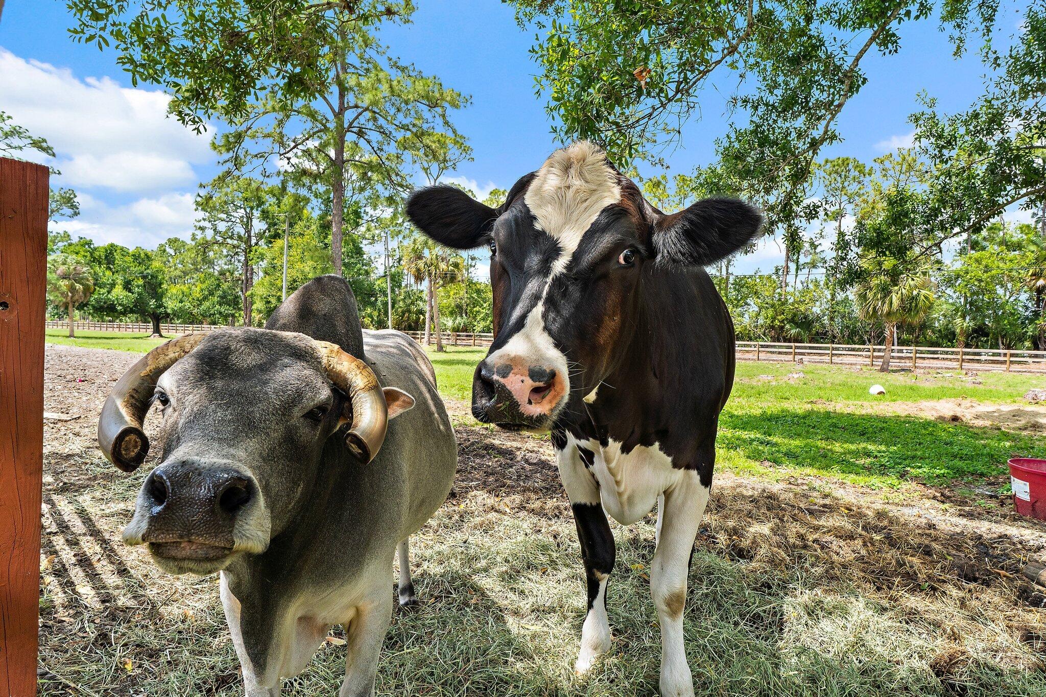 16411 Jupiter Farms Road