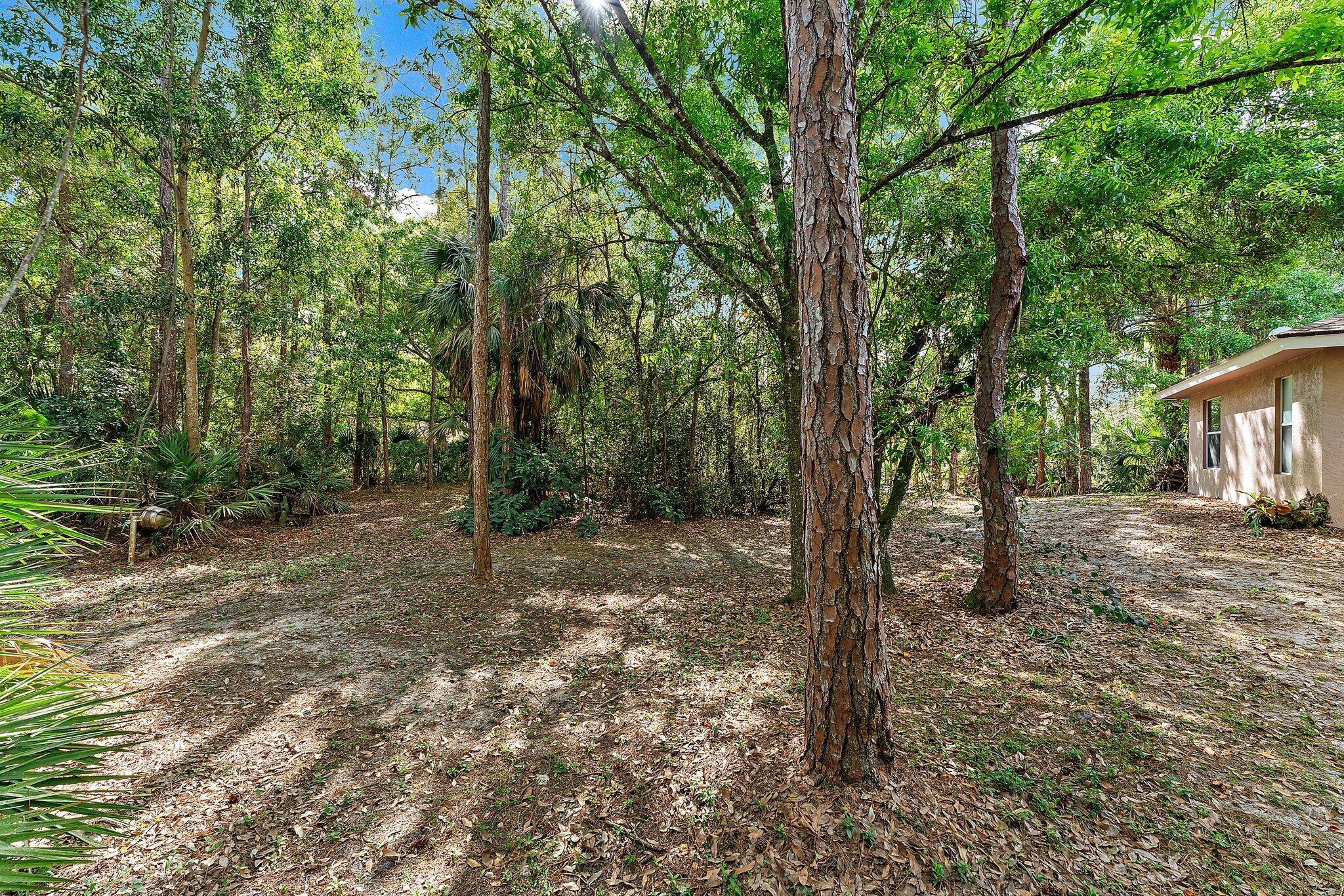 18174 127th Drive N