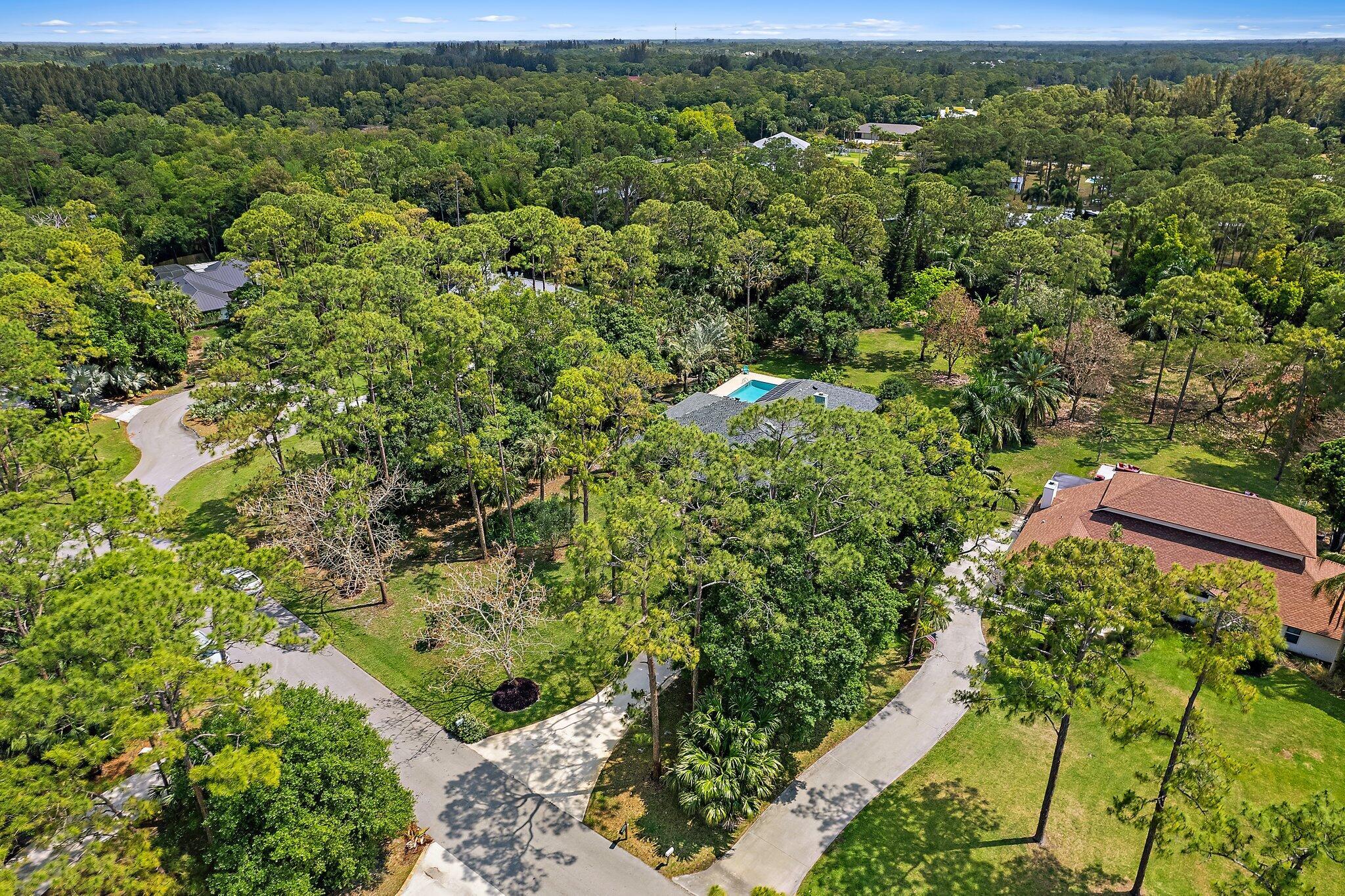 10226 Trailwood Circle