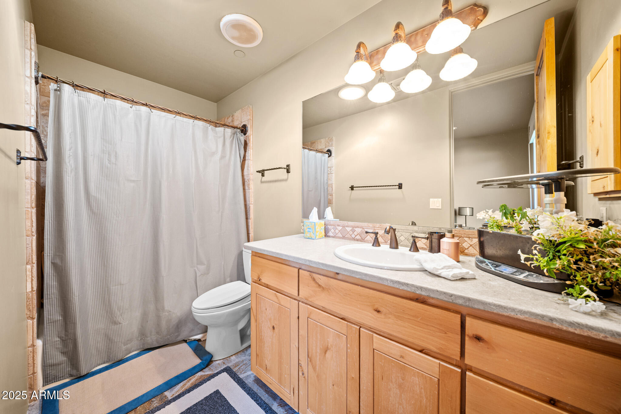 12555 E SADDLEHORN Trail