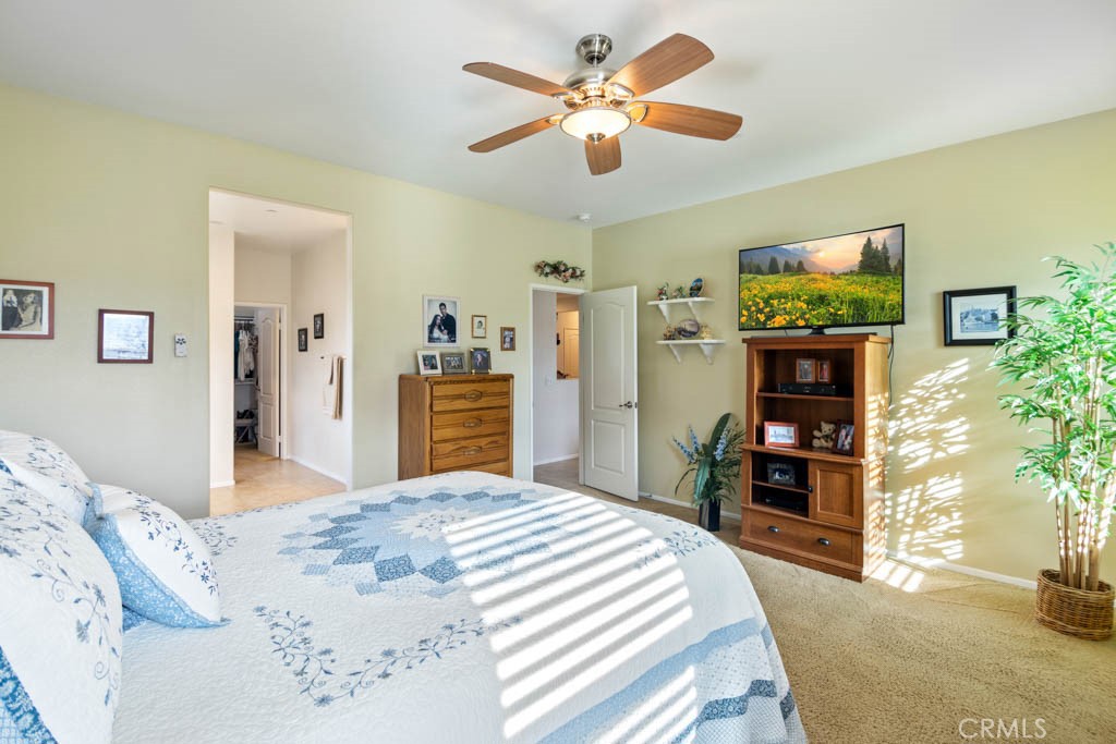 24061 Grafton Avenue