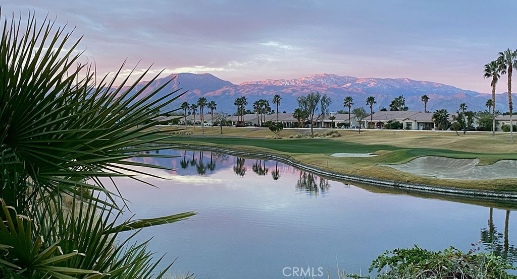 81693 Avenida Sombra