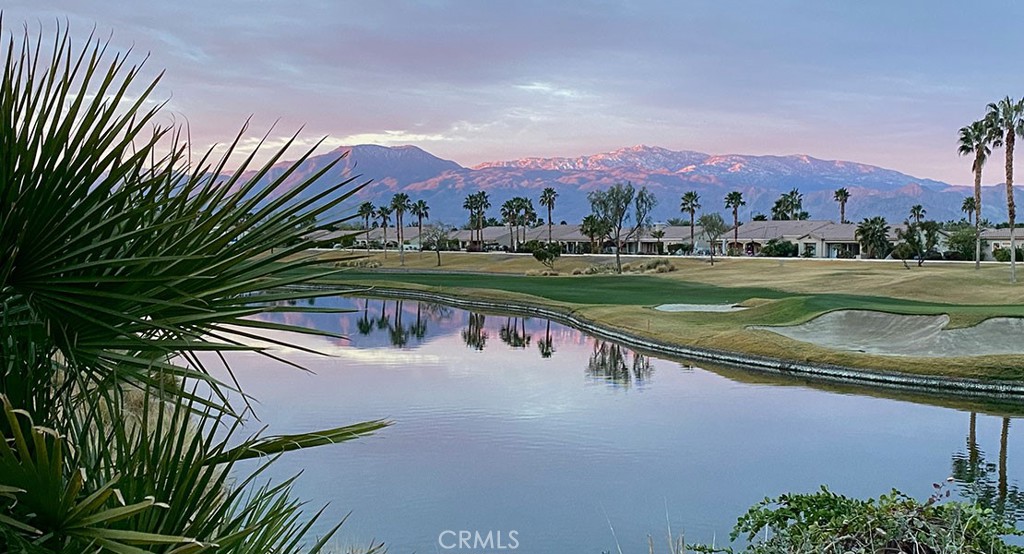 81693 Avenida Sombra