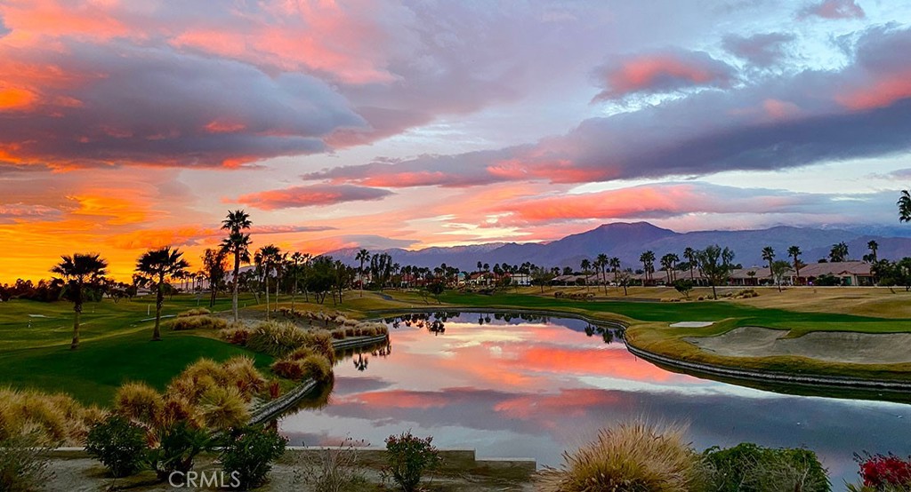 81693 Avenida Sombra